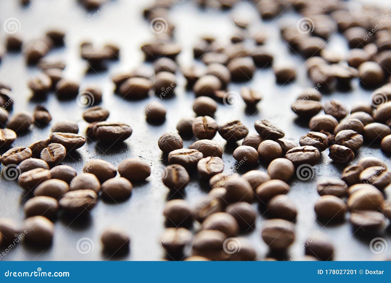 Sprinkled coffee beans stock image. Image of seed, food 178027201