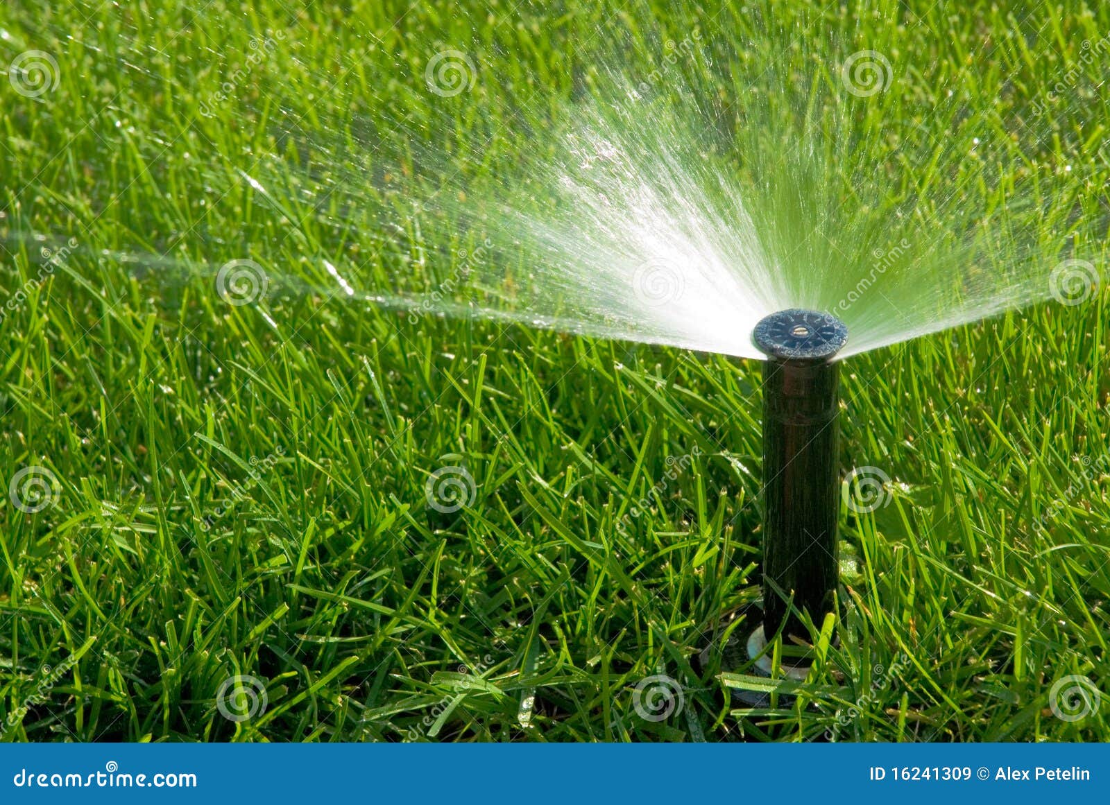 Sprinkler of Automatic Watering Stock Image Image of landscaped