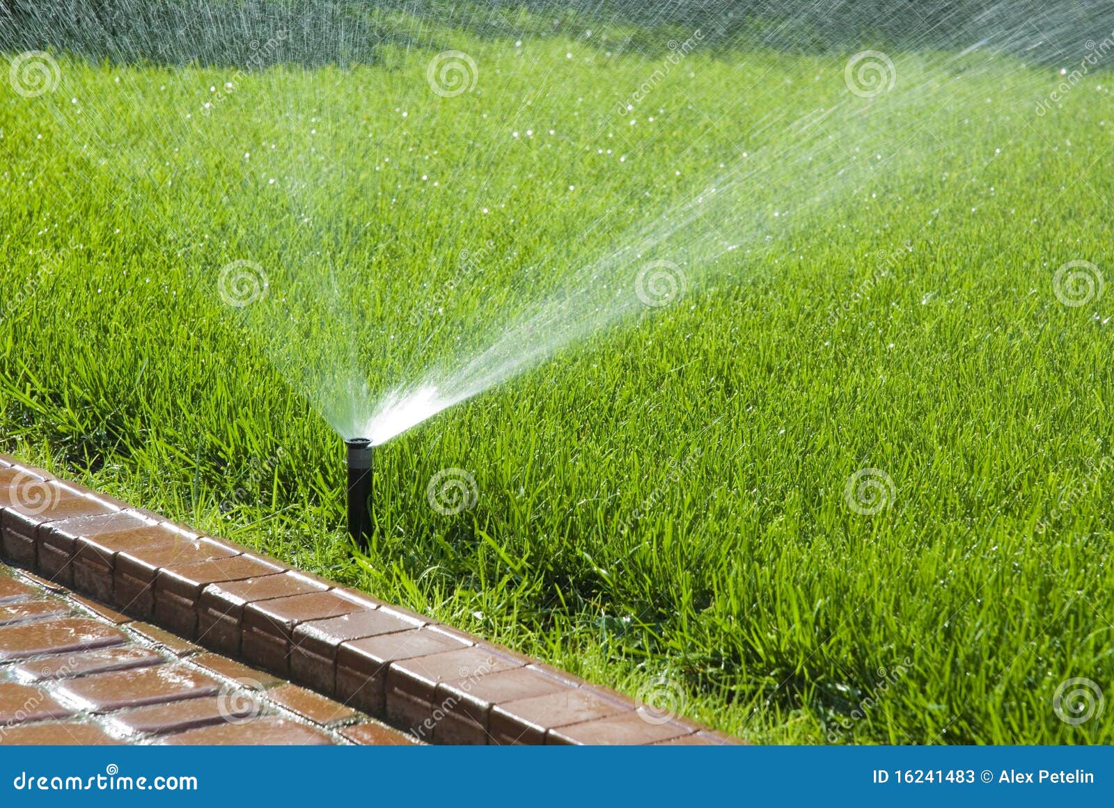Sprinkler of Automatic Watering Stock Image Image of equipment