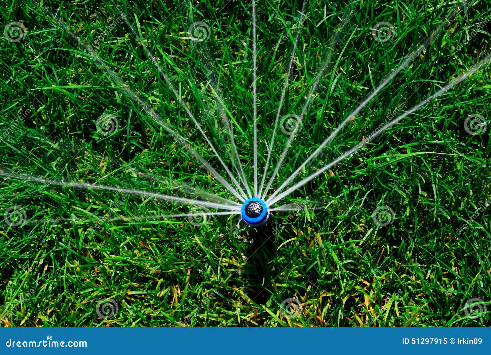 Automatic lawn sprinkler stock image. Image of spraying 51297915