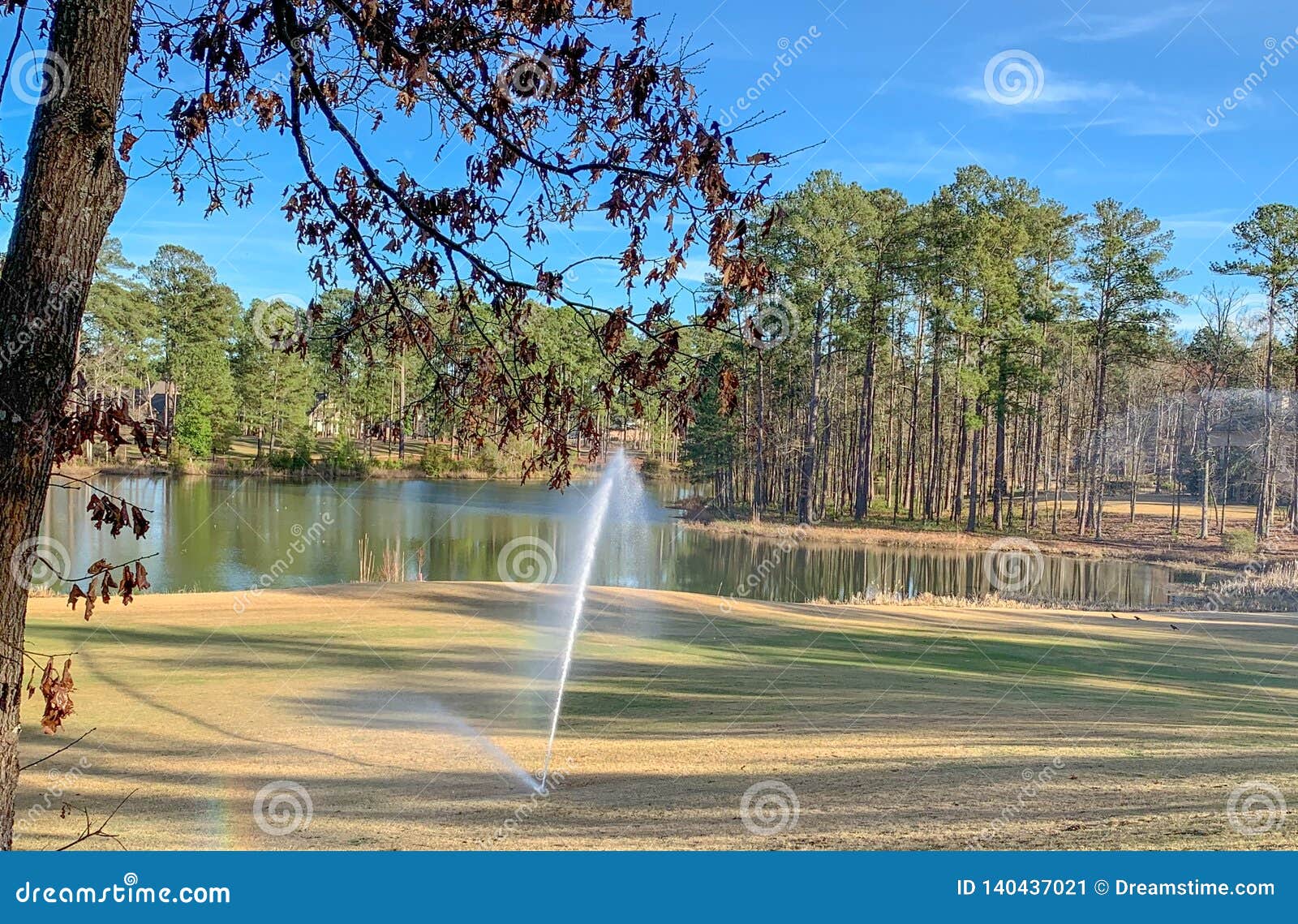 Sprinkler on the Golf Course with Rainbow Stock Image Image of