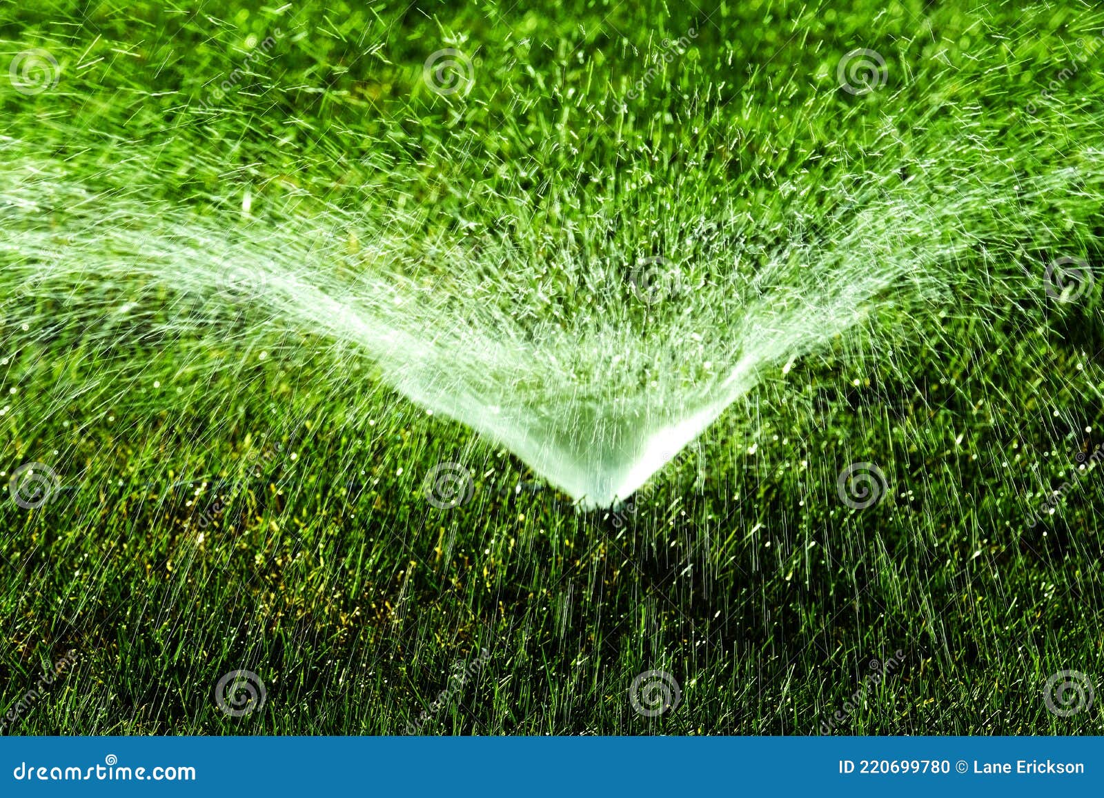 Sprinkler in Grass Yard Spraying Water Drops Drips Irrigation Stock