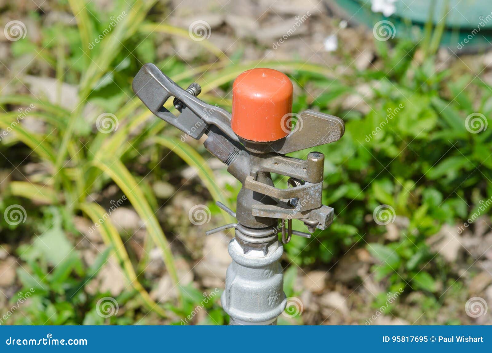 Sprinkler Head for Irrigation Stock Image Image of farm, field 95817695