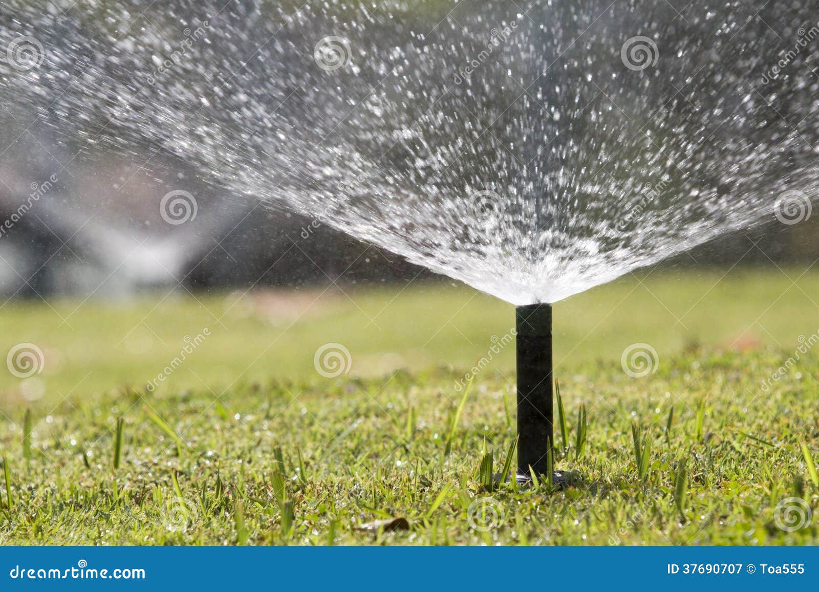 Sprinkler Head Watering in Park. Stock Image Image of shoot, garden