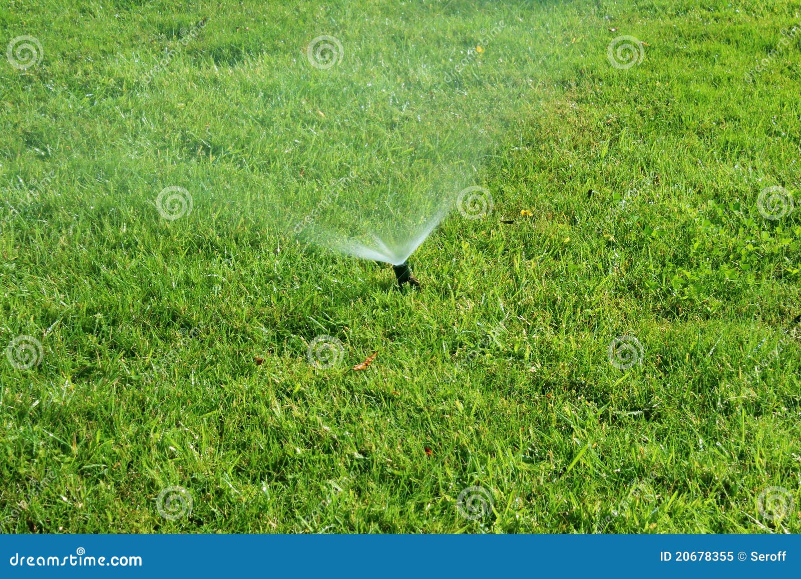 grass water spray