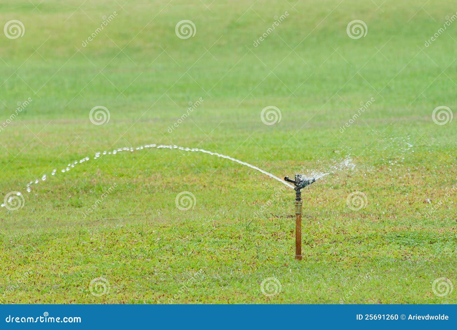 Sprinkler Spraying Water on the Grass Stock Photo Image of irrigate