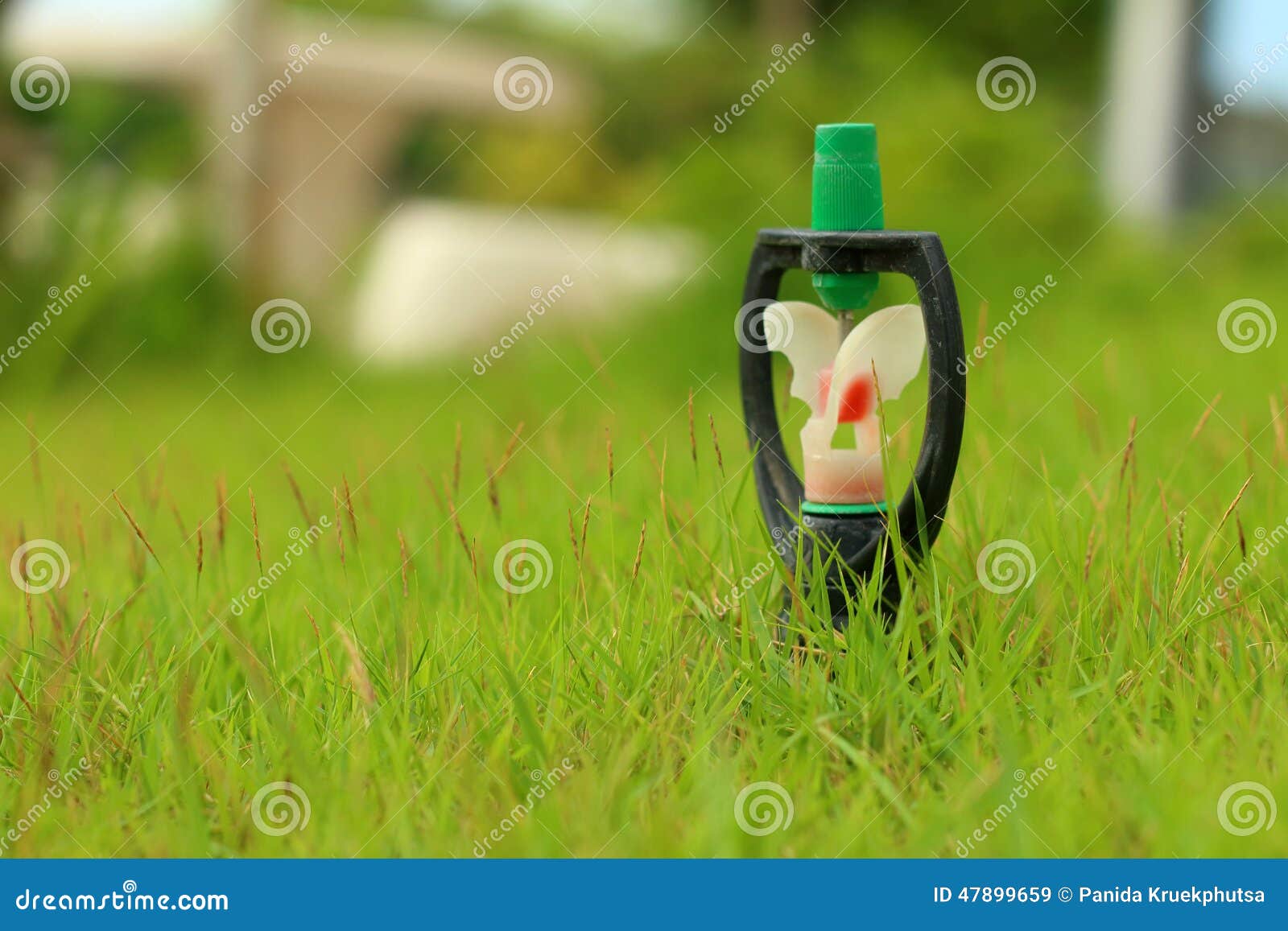 Sprinkler is Stuck in in the Grass. Stock Image Image of grass, gardening 47899659