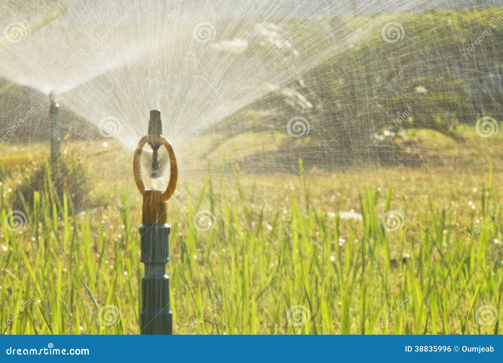 Sprinkler stock photo. Image of plant, nature, irrigation 38835996