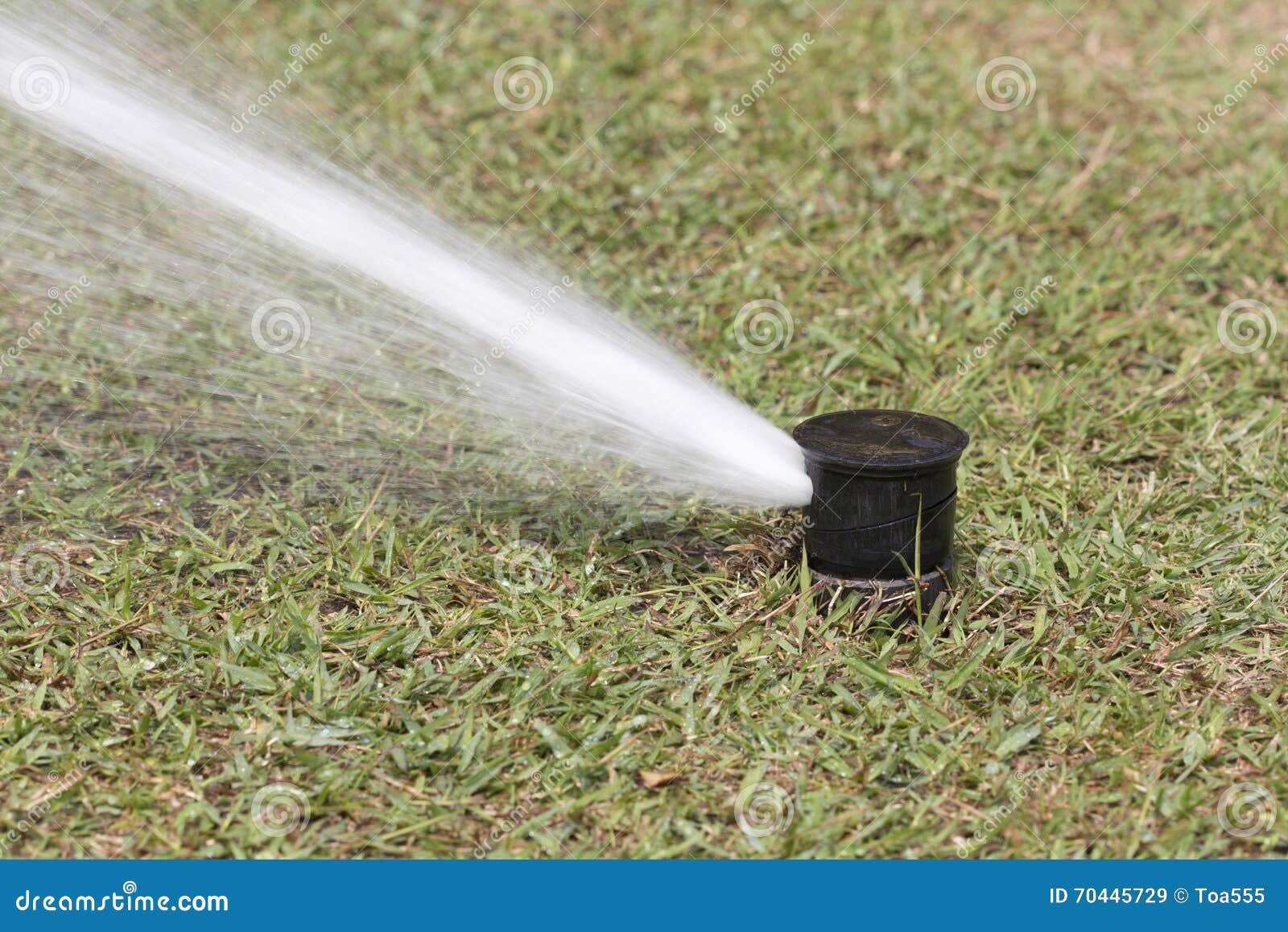 Sprinkler Watering in Golf Course Stock Image Image of sprinkle, lawn