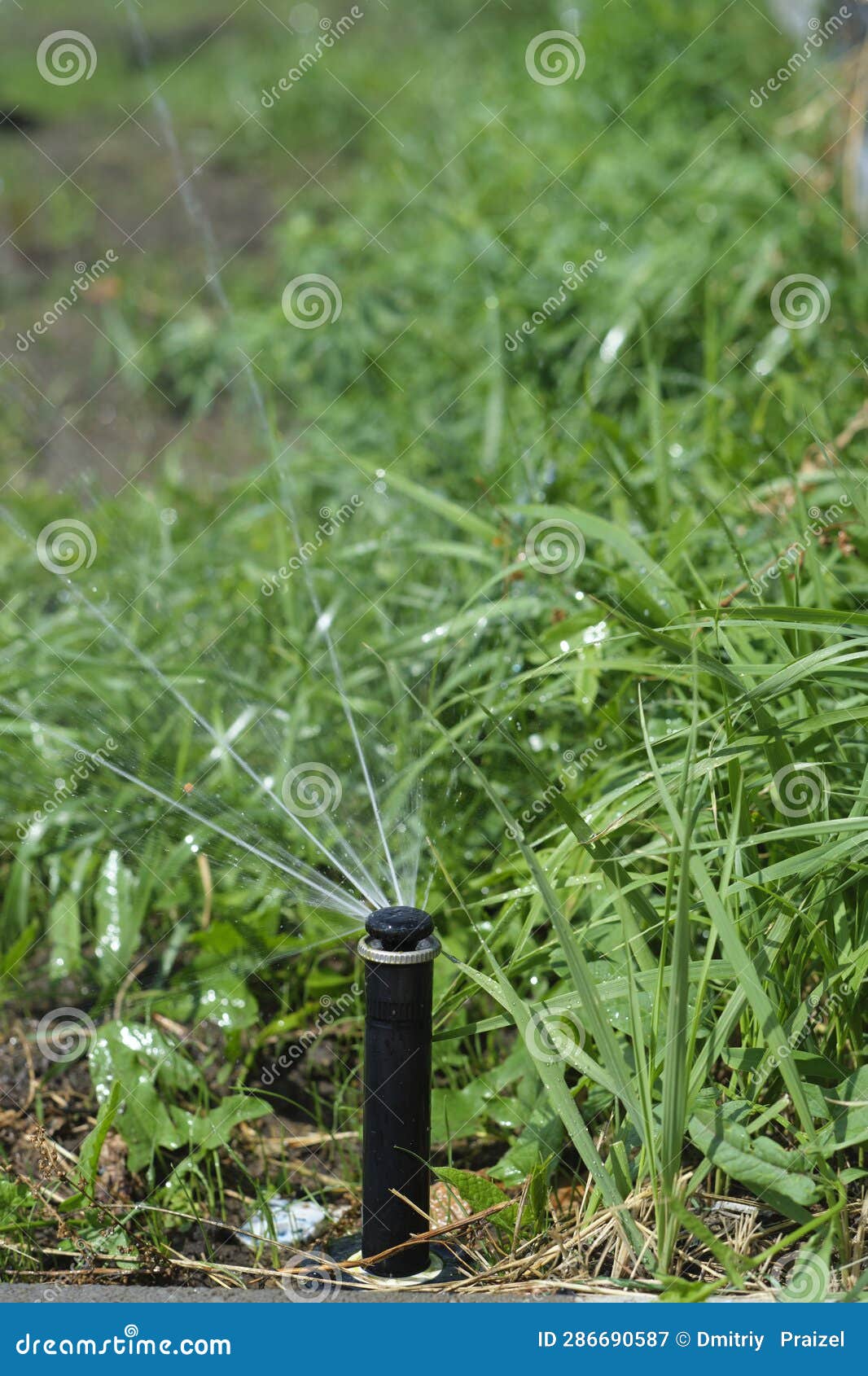 Sprinkler for Watering Lawns.Automatic Watering Nozzle. Irrigation
