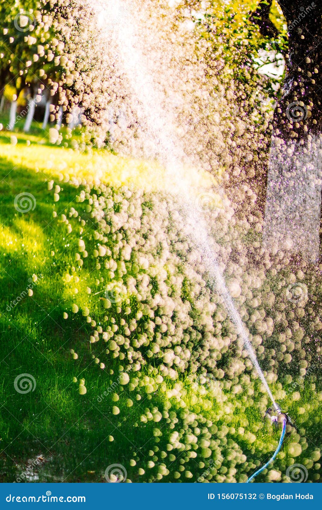 Sprinkler Working on Grass Irrigation. Multiple Sprinkler System