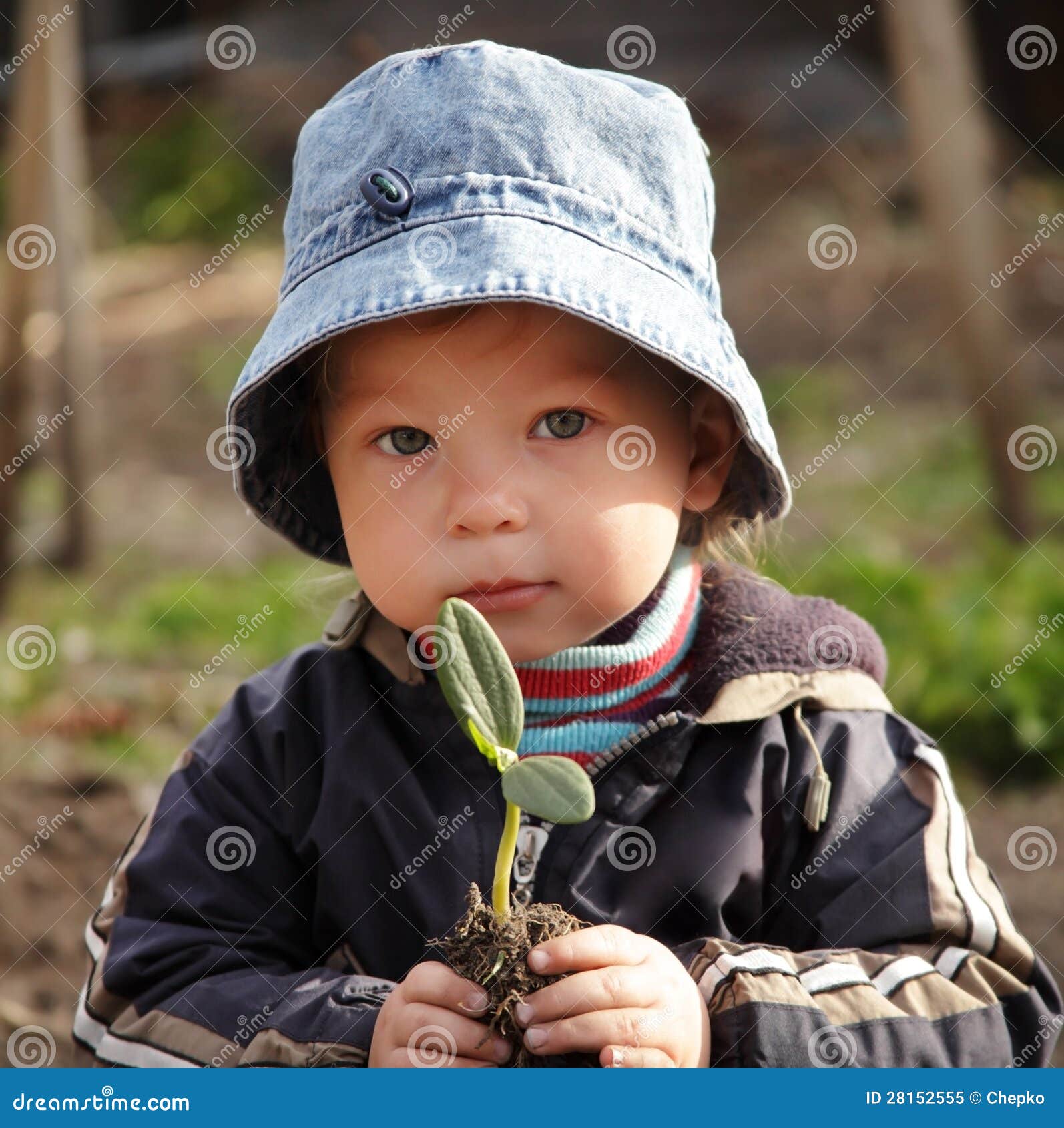 Sprout in children hand stock image. Image of environment 28152555