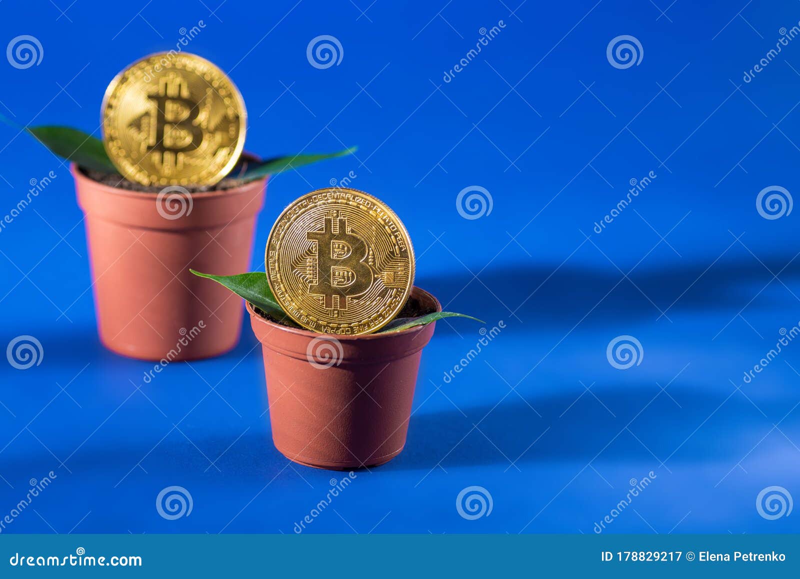 bitcoin lanț descărcare