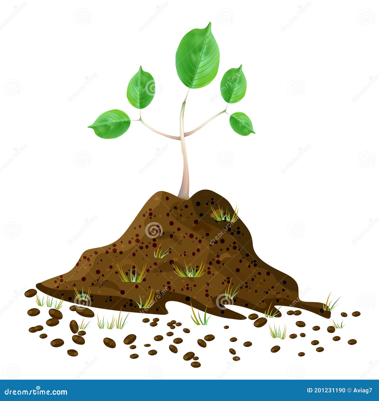 Dirt Soil Layers Infographic Diagram Biology Geology Agriculture ...