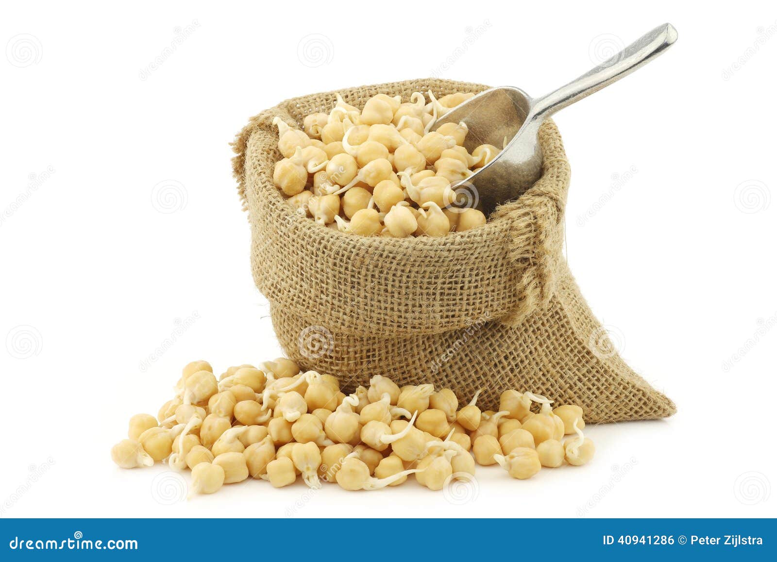 Sprouted Chick Peas in a Burlap Bag Stock Photo Image of ingredient, sprout 40941286