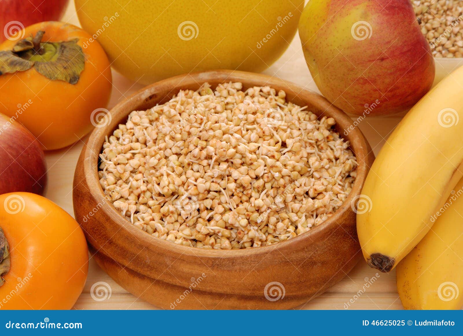 Sprouted kernel and fruits stock image. Image of grow 46625025