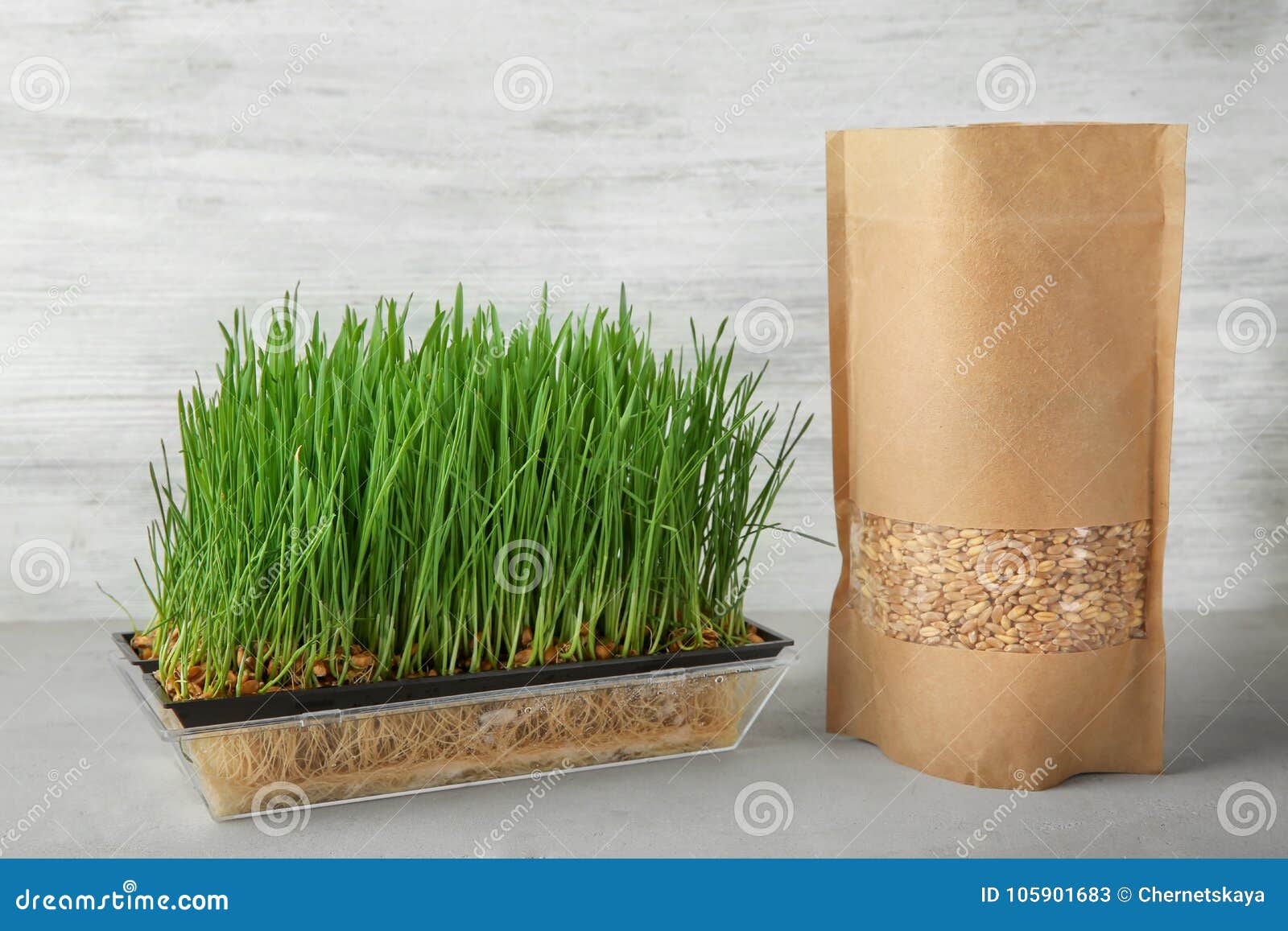 800X Organic Wheatgrass Wheat Grass Seeds For Sprouting Pets Health