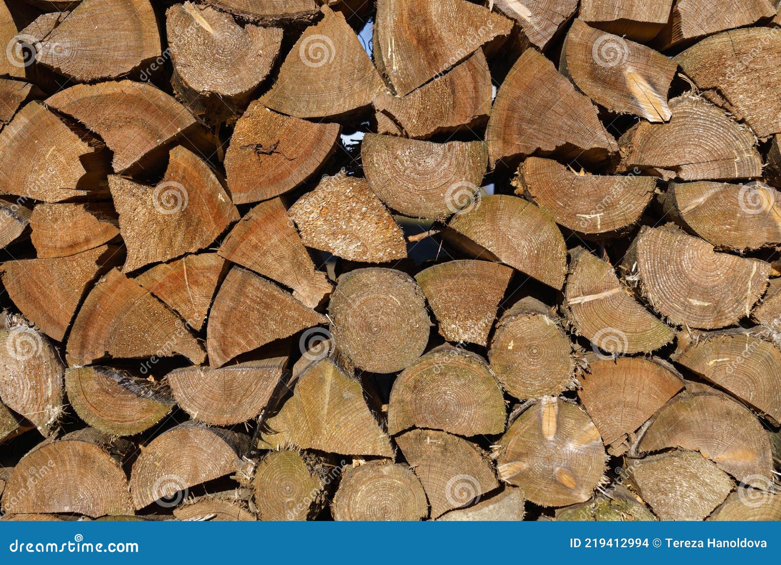 Spruce Wood in the Background. Firewood Stack Stock Photo Image of