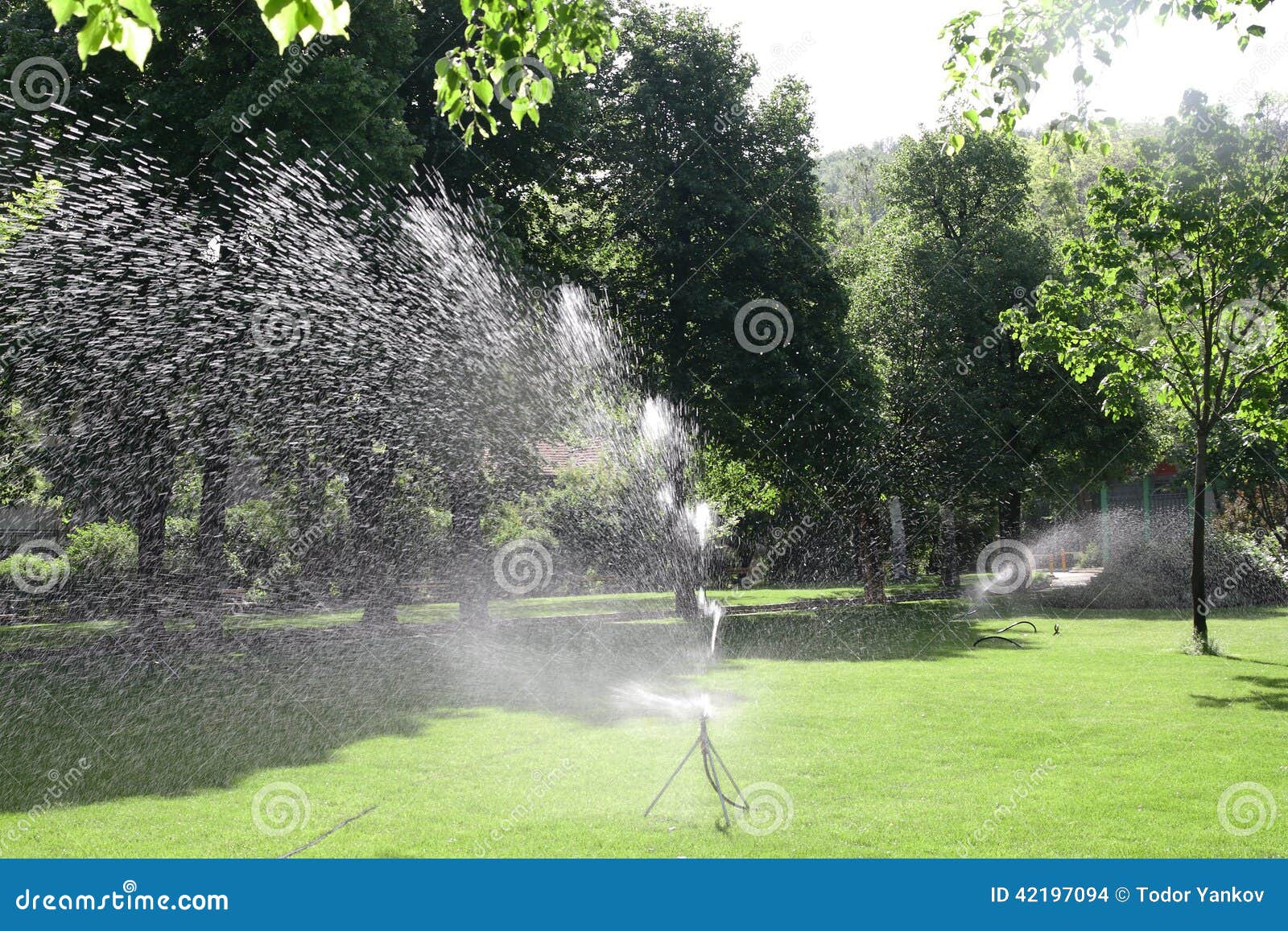 Spruzzatore Acqua Per Rimozione Polvere | Ugello Refrigerazione Per Tagliatrici | Kit Con Tubo 5m - Foto 6