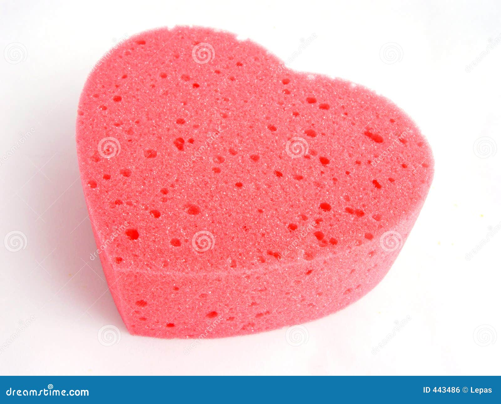 Spugna Spo-gd Israele Spugna Di Collagene Osseo Per Impianti Dentali - 5 Blister, 10mm X L20mm, Per Odontoiatria Spugna Di Collagene Tipo 1 - Foto 6