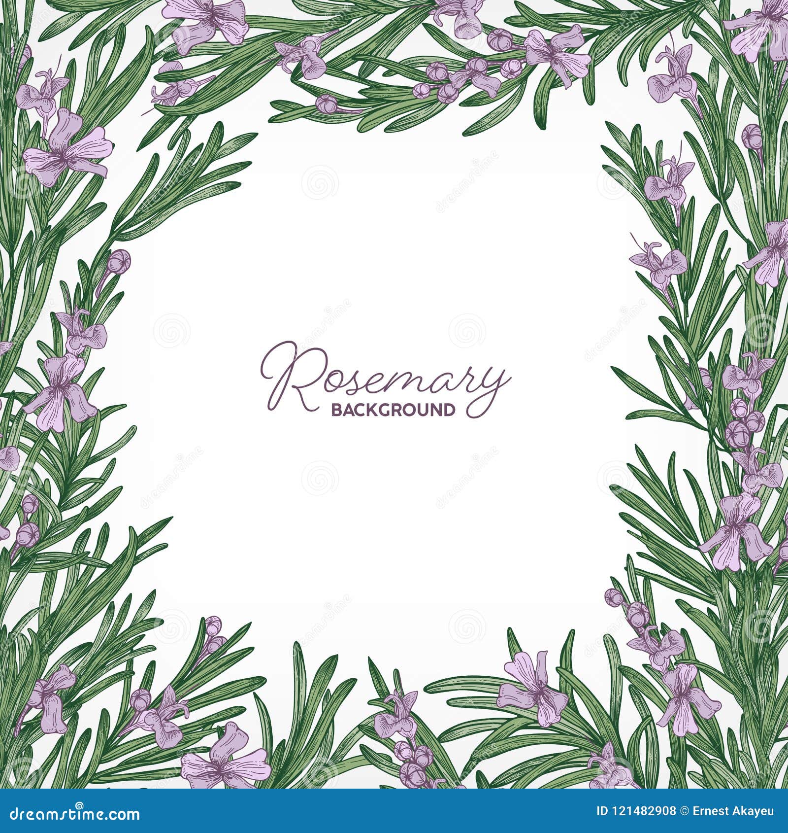 Square Backdrop with Frame Made of Rosemary and Place for Text. Elegant