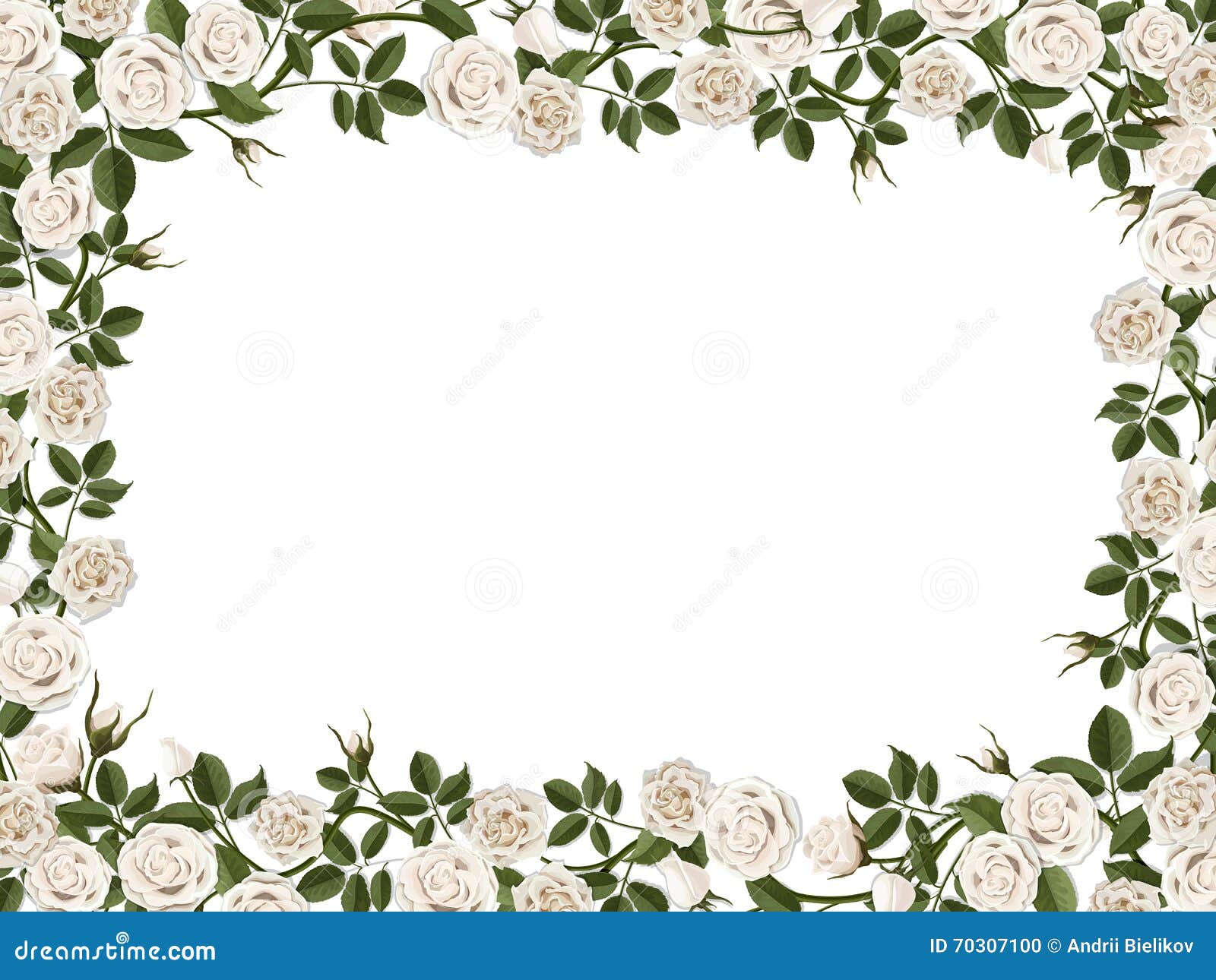 pics White Rose Border Clipart dreamstime com
