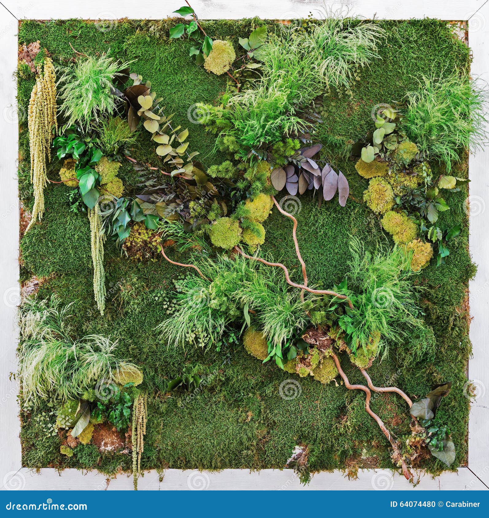 Square Flower Bed Top View Stock Photos Free & RoyaltyFree Stock