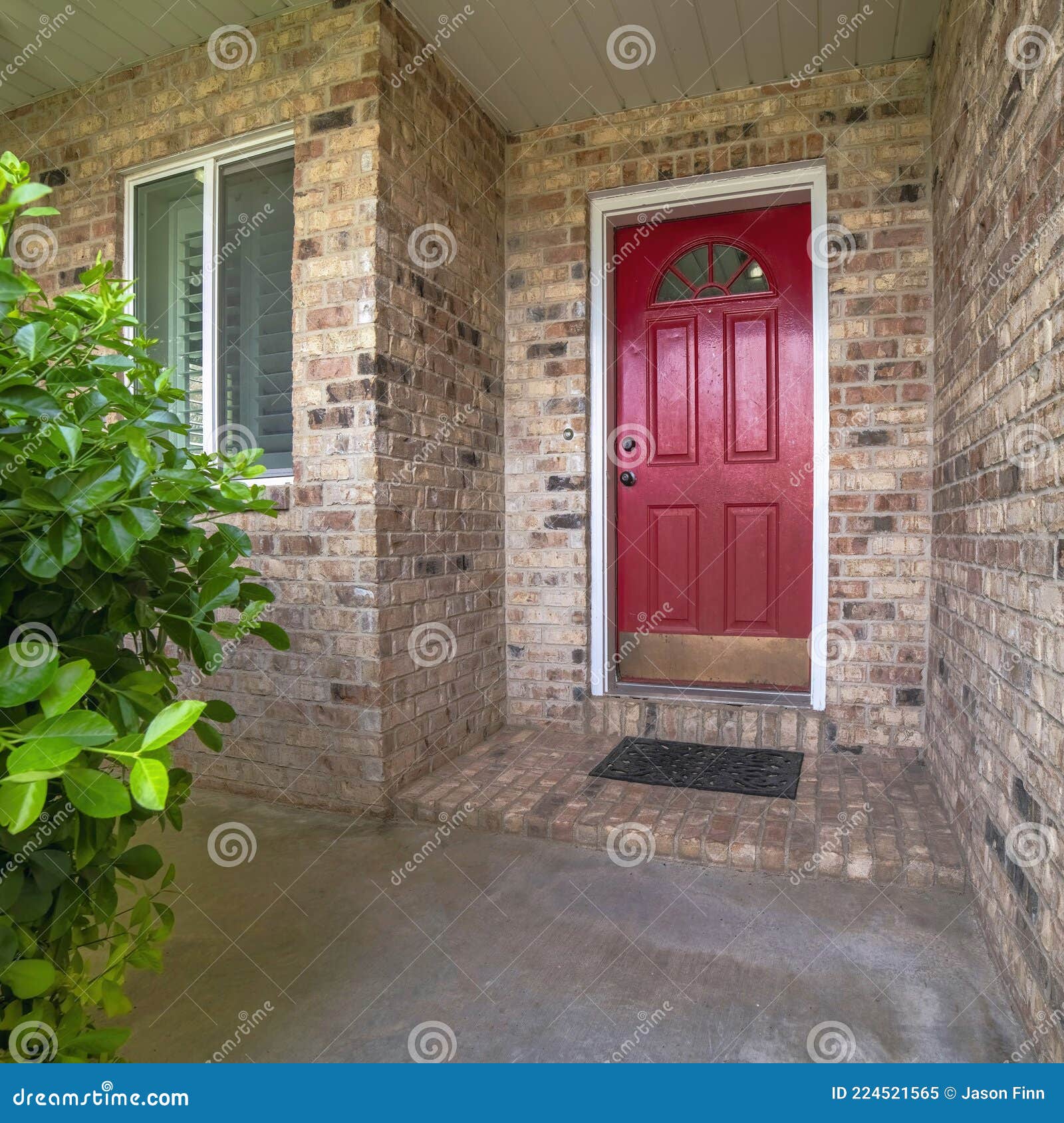 My Image 20