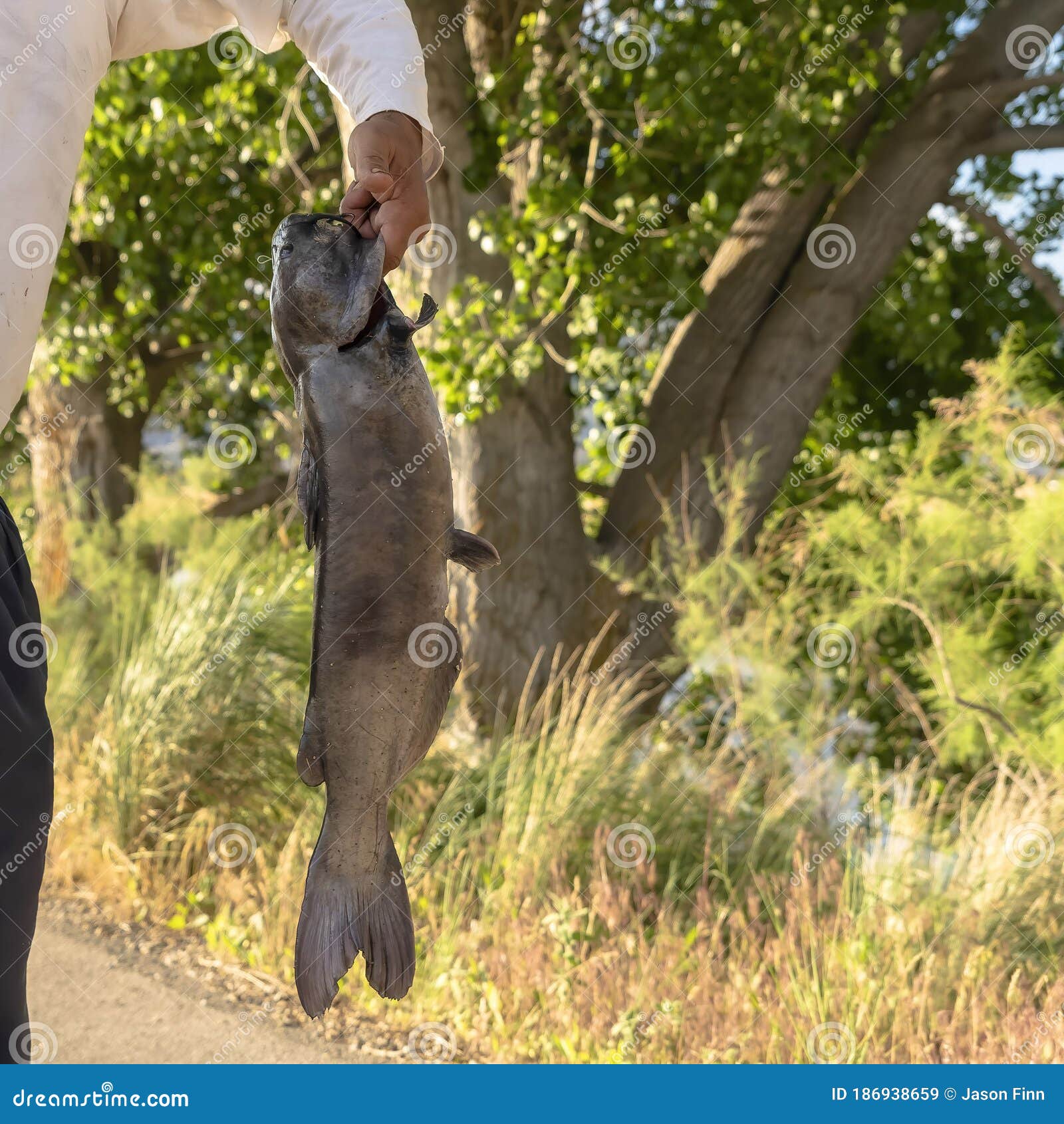 106 Square Frame Fishing Stock Photos - Free & Royalty-Free Stock Photos  from Dreamstime