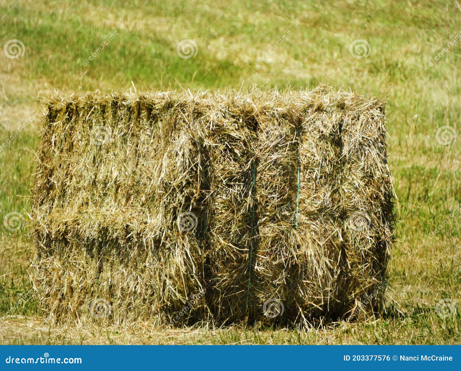 Square Haybale Harvested and Ready for Farm Pick Up Stock Photo - Image ...