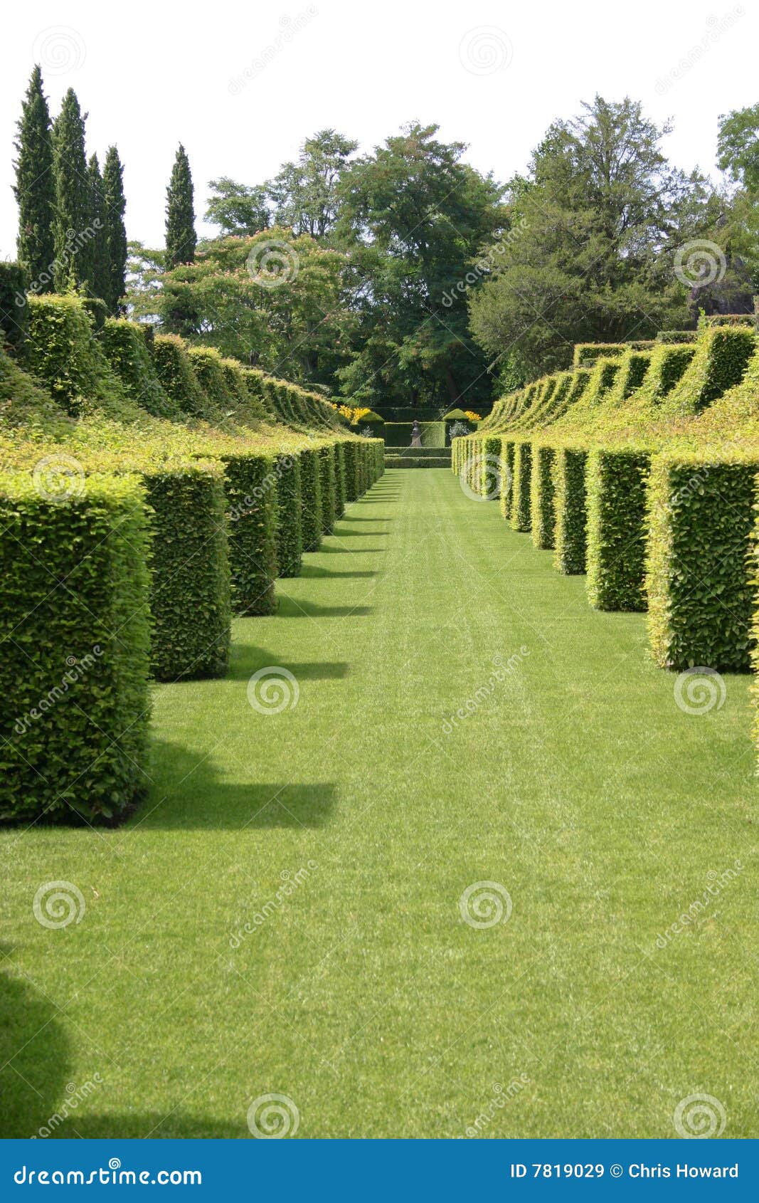 Square Hedges stock image. Image of lines, garden, trees 7819029