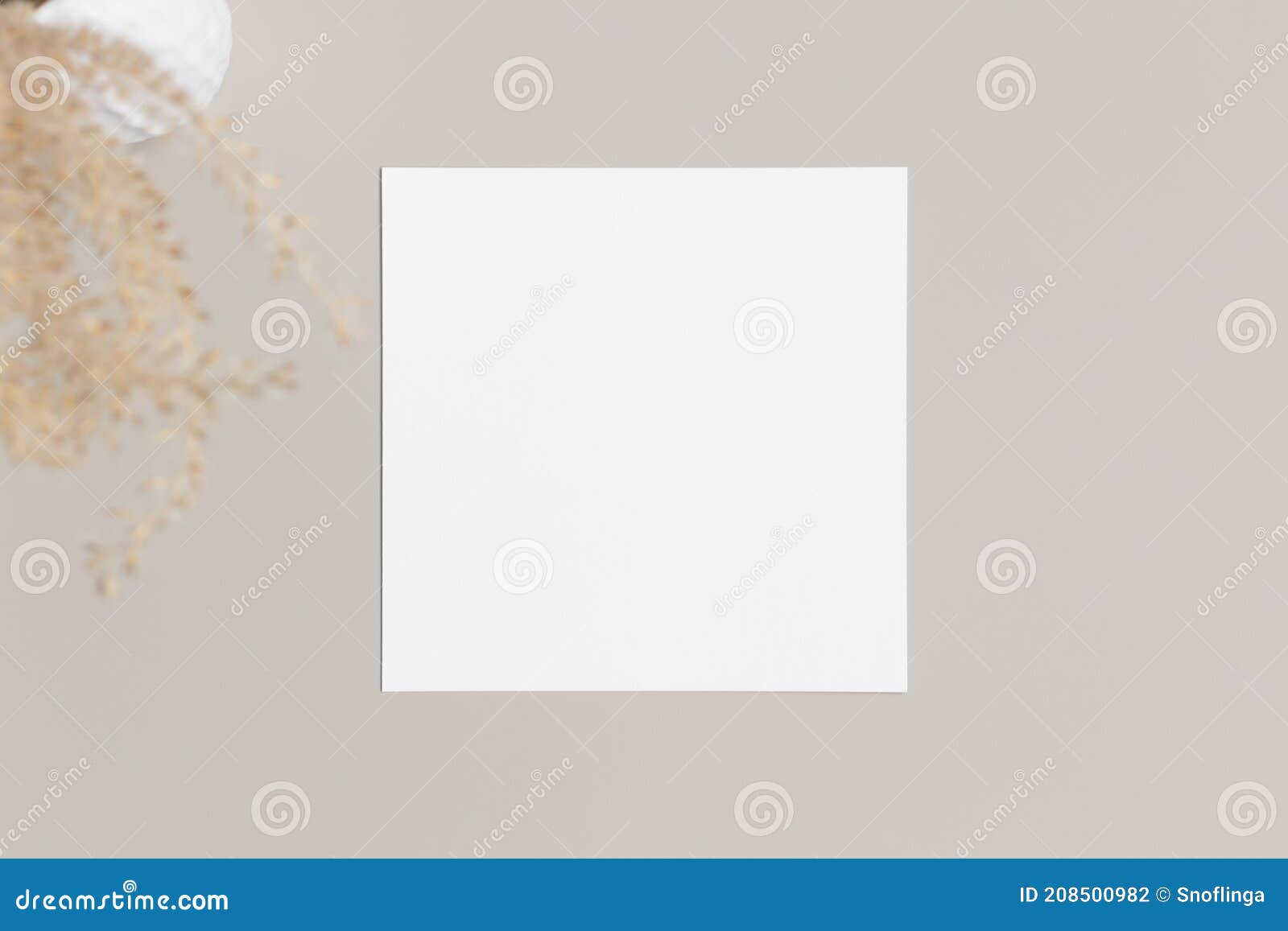 Download Square Invitation Card Mockup With A Dried Grass On A Beige Table Stock Photo Image Of Feminine Card 208500982