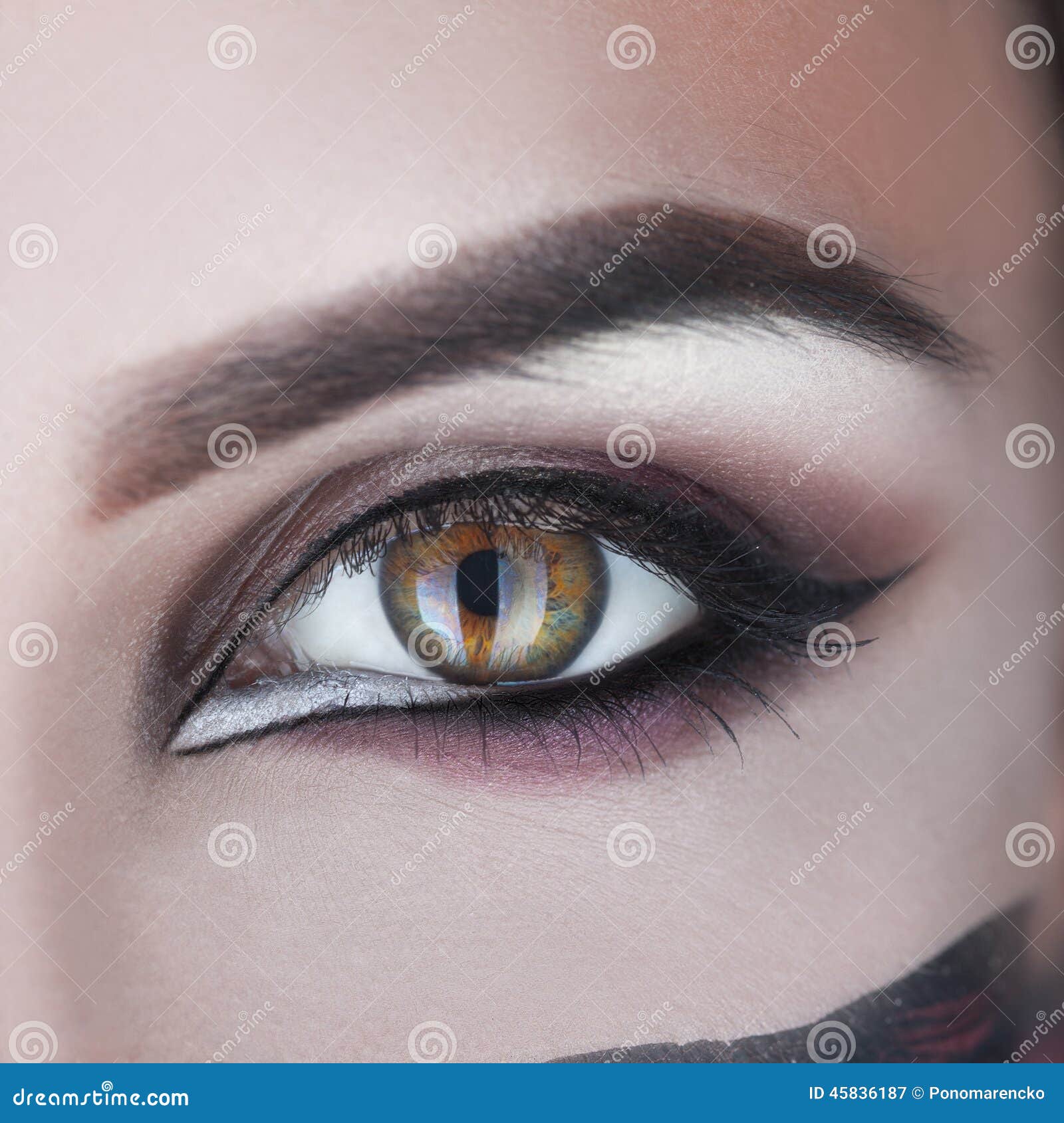 Square Macro Photo of Woman Eye with Make Up Stock Image Image of