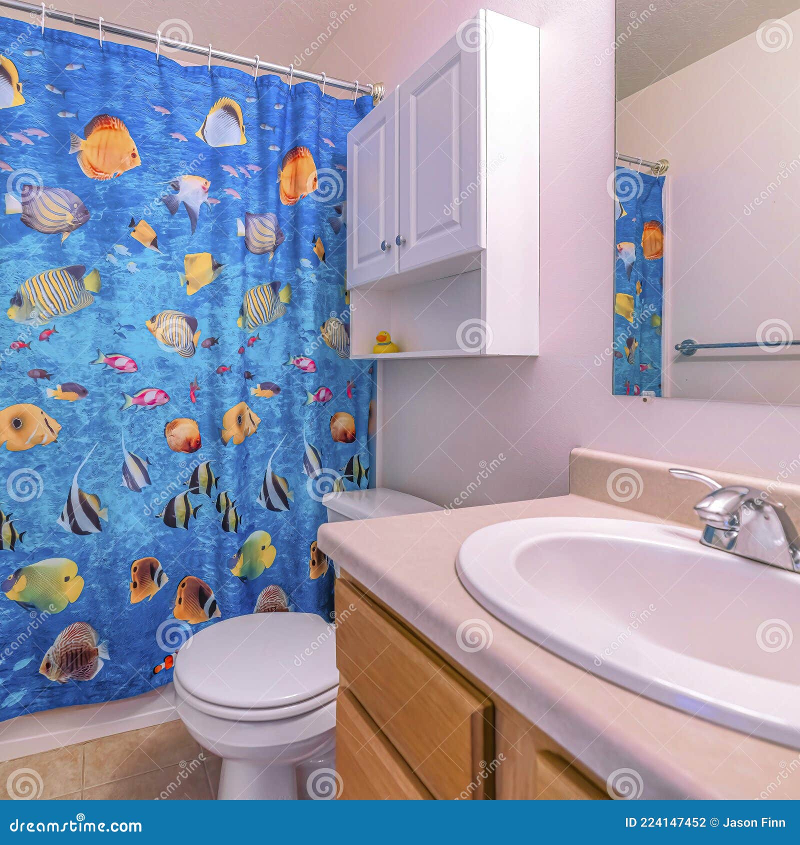Square Oval sink and wall mirror beside toliet and wall cabinet inside a small bathroom. Vivid blue shower curtain with fish print conceals the bathtub and shower.