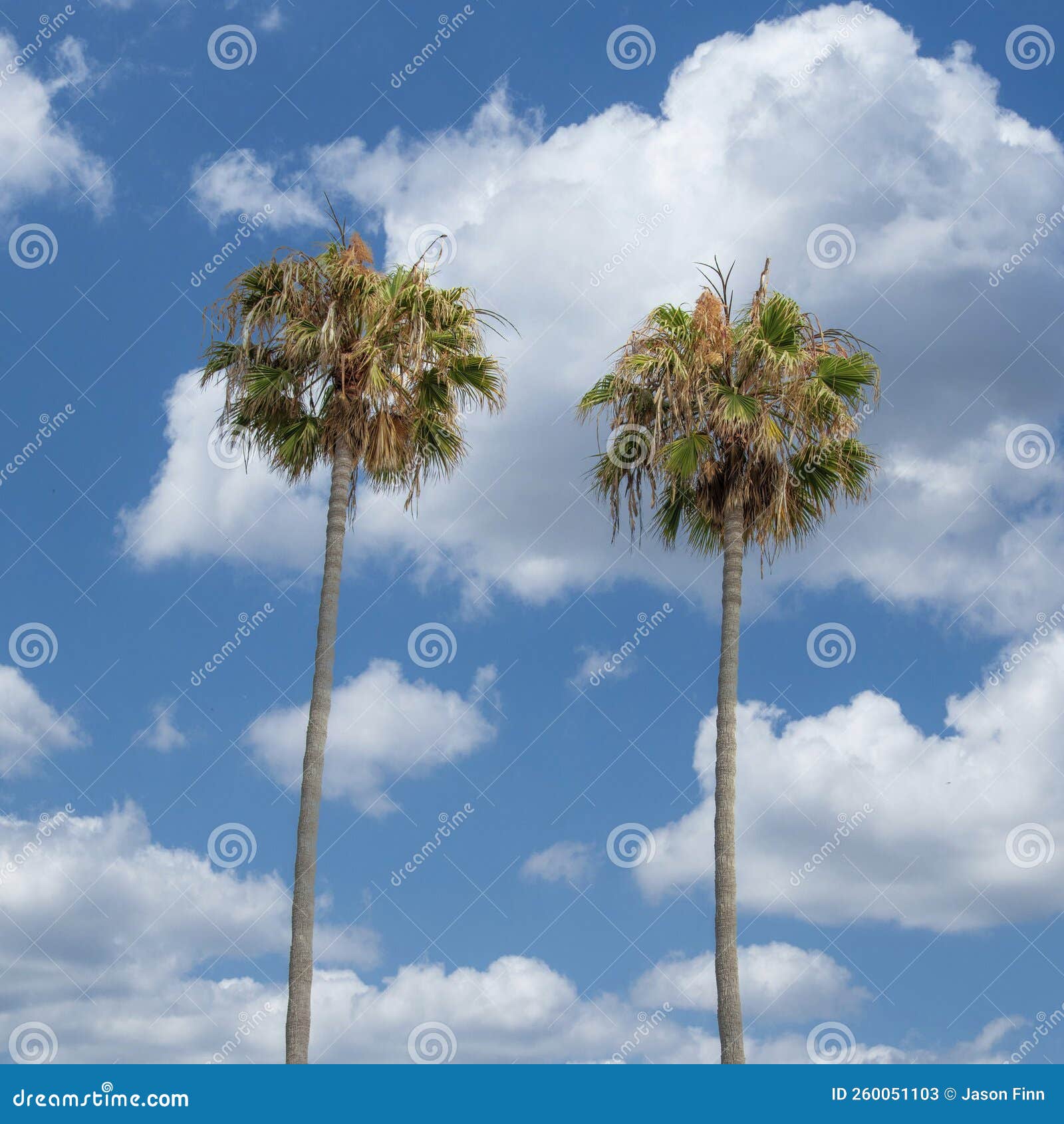 My Image 27