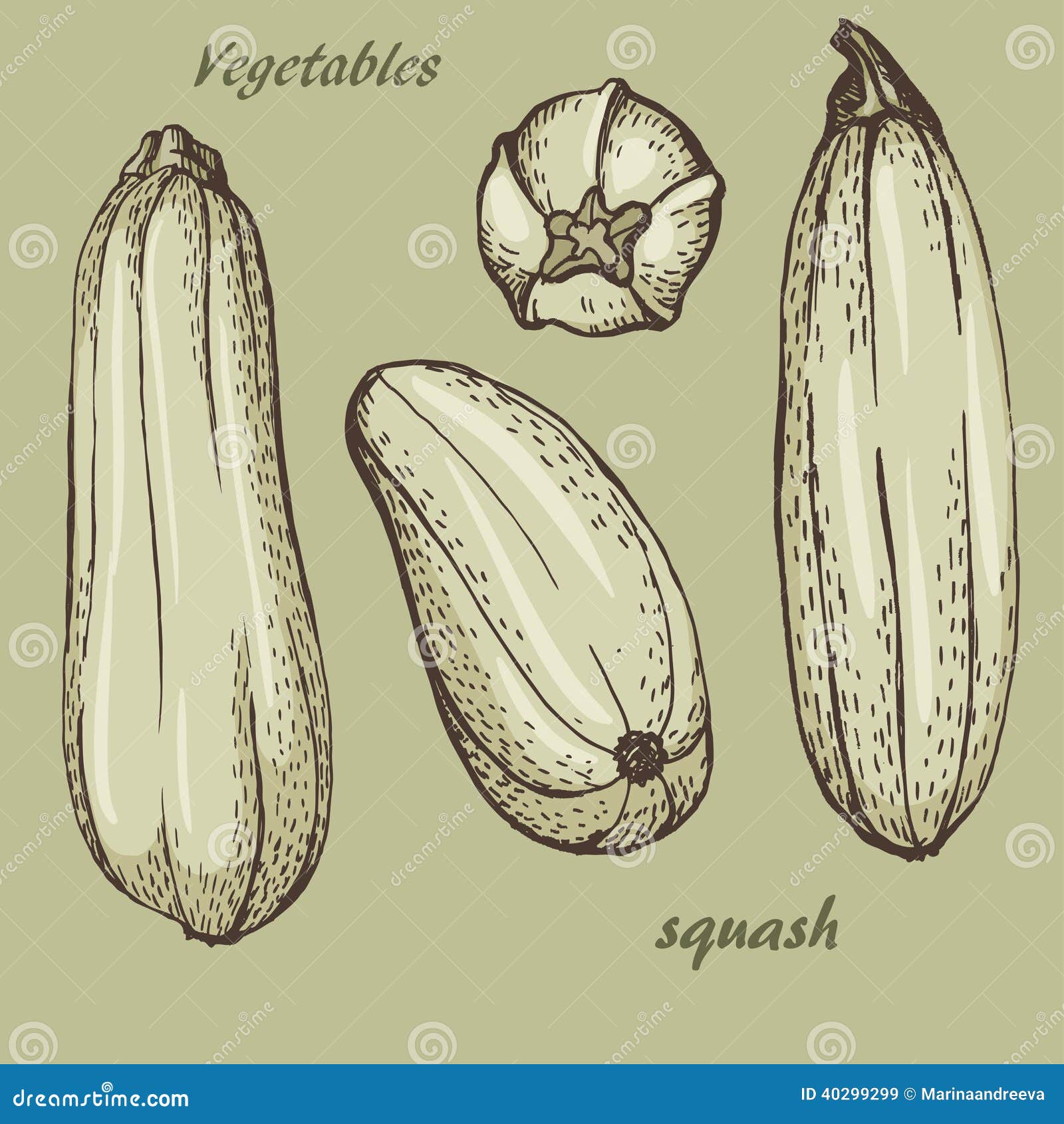 Squash colour stock vector. Illustration of texture, painted - 40299299