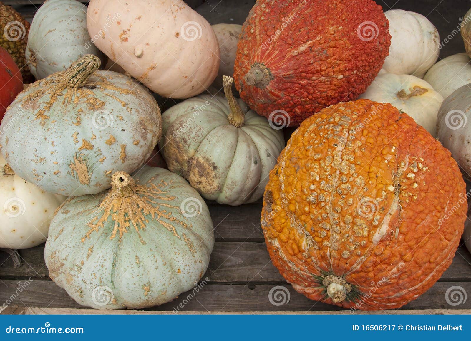 Squash and gourds stock image. Image of diet, colorful 16506217
