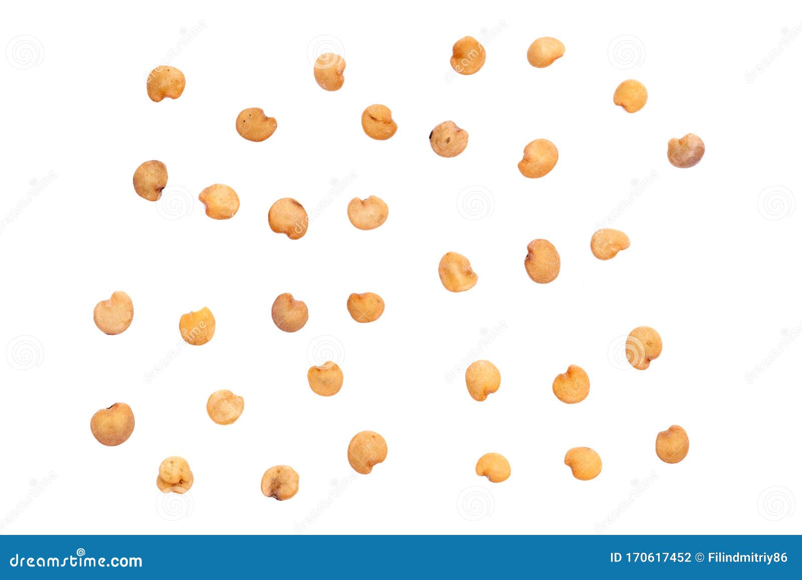 Squash seeds. stock photo. Image of shoot, dried, grain 170617452