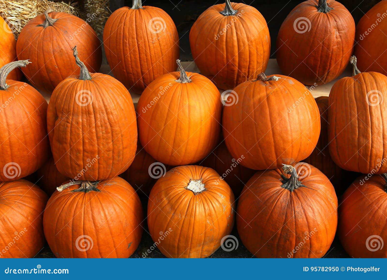 Squashs in Een Markt, Montreal, Quebec, Canada Stock Foto Image of