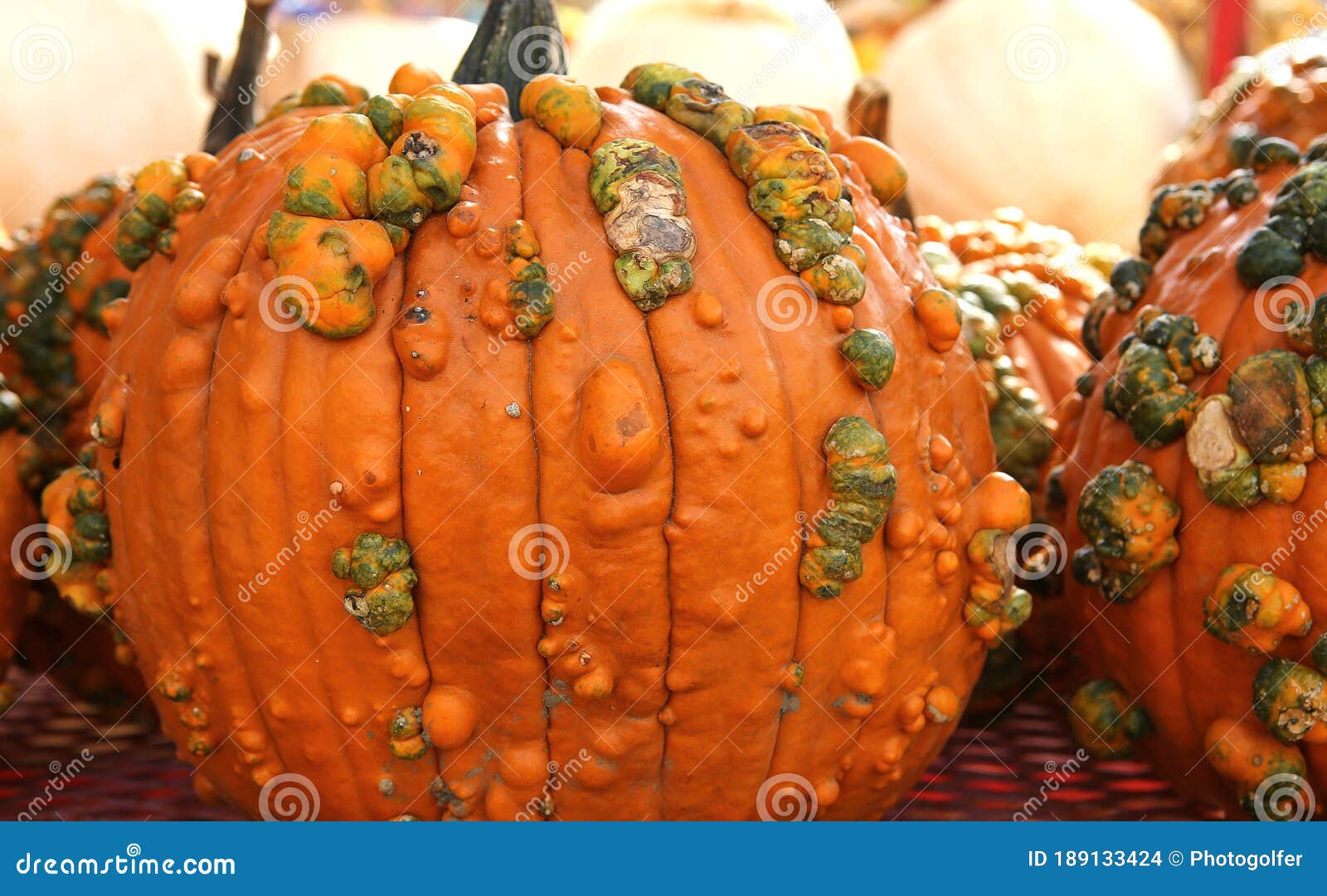 squashs in a market, montreal, quebec, canada