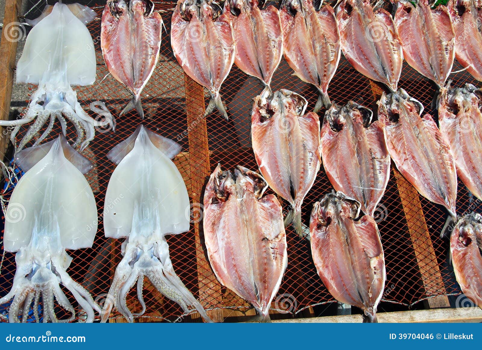 Squid and fish drying stock photo. Image of eating, grey 39704046