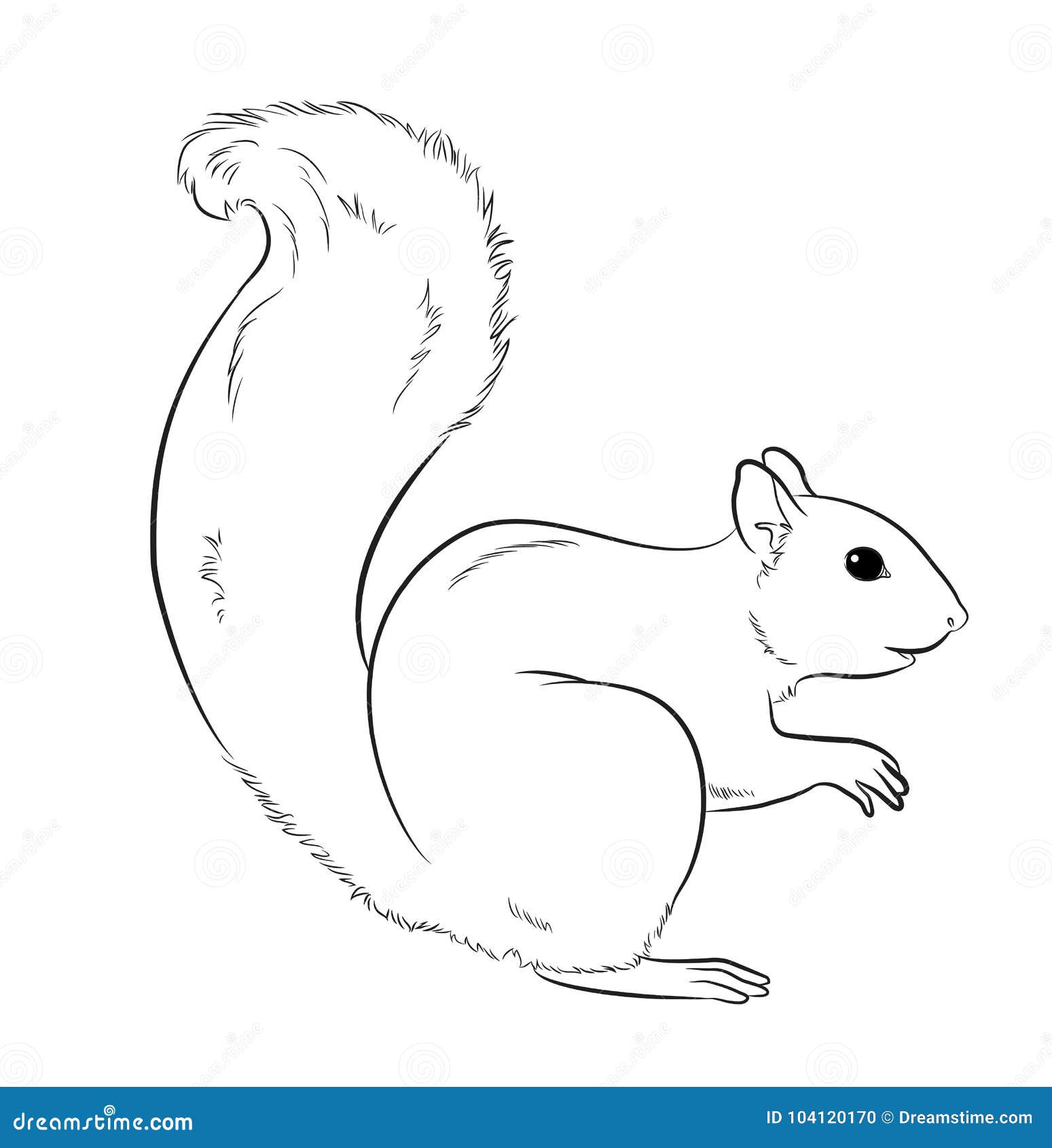 Squirrel Drawing by Greg Joens - Pixels