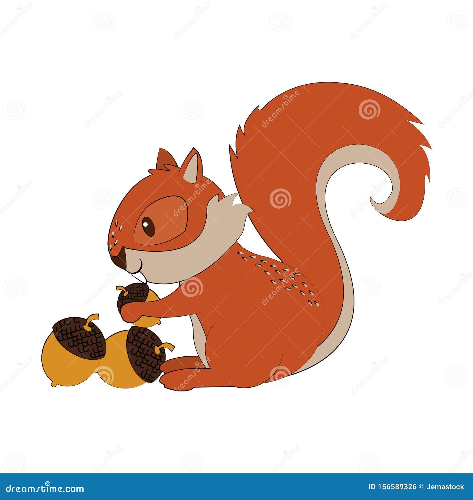 Écureuil d'arbre mangeant le fruit noir de noix