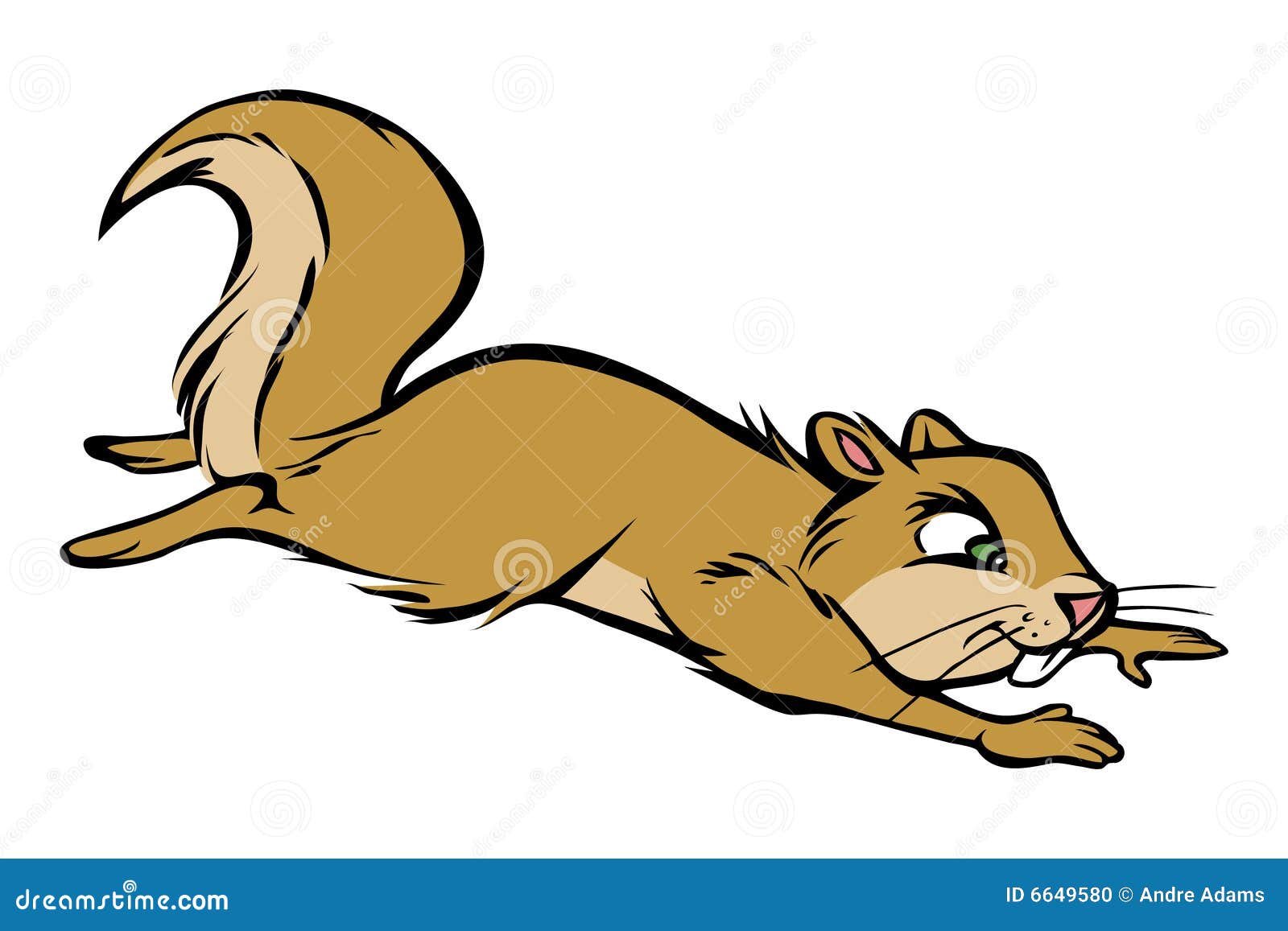 Squirrel jumping stock vector. Illustration of park, animal 6649580