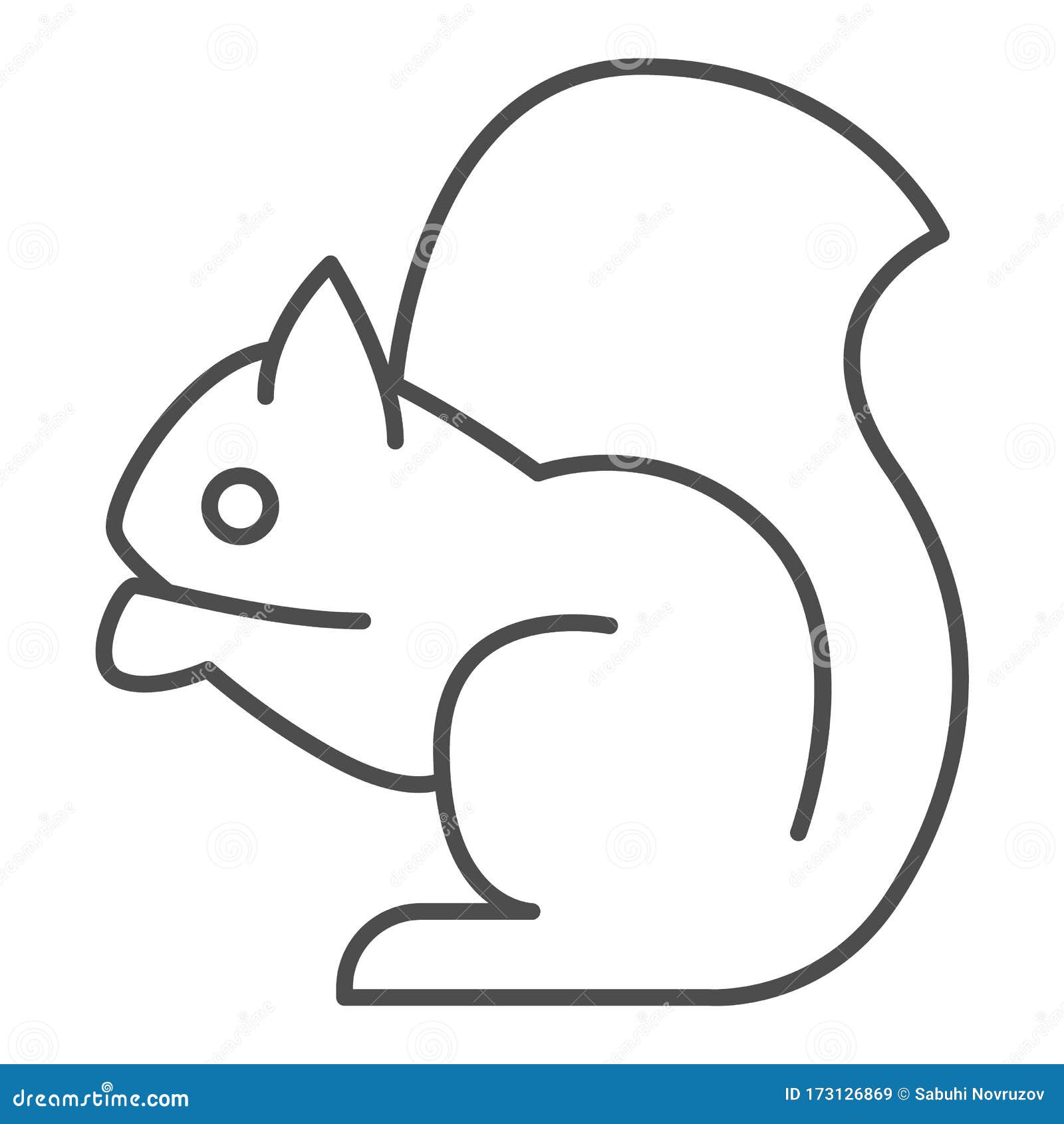 Squirrel Thin Line Icon. Sitting Forest Animal, Simple Silhouette Stock Vector - Illustration of gathering, symbol: 173126869 Squirrel Thin Line Icon. Sitting Forest Animal, Simple Silhouette Stock Vector - Illustration of gathering, symbol: 173126869