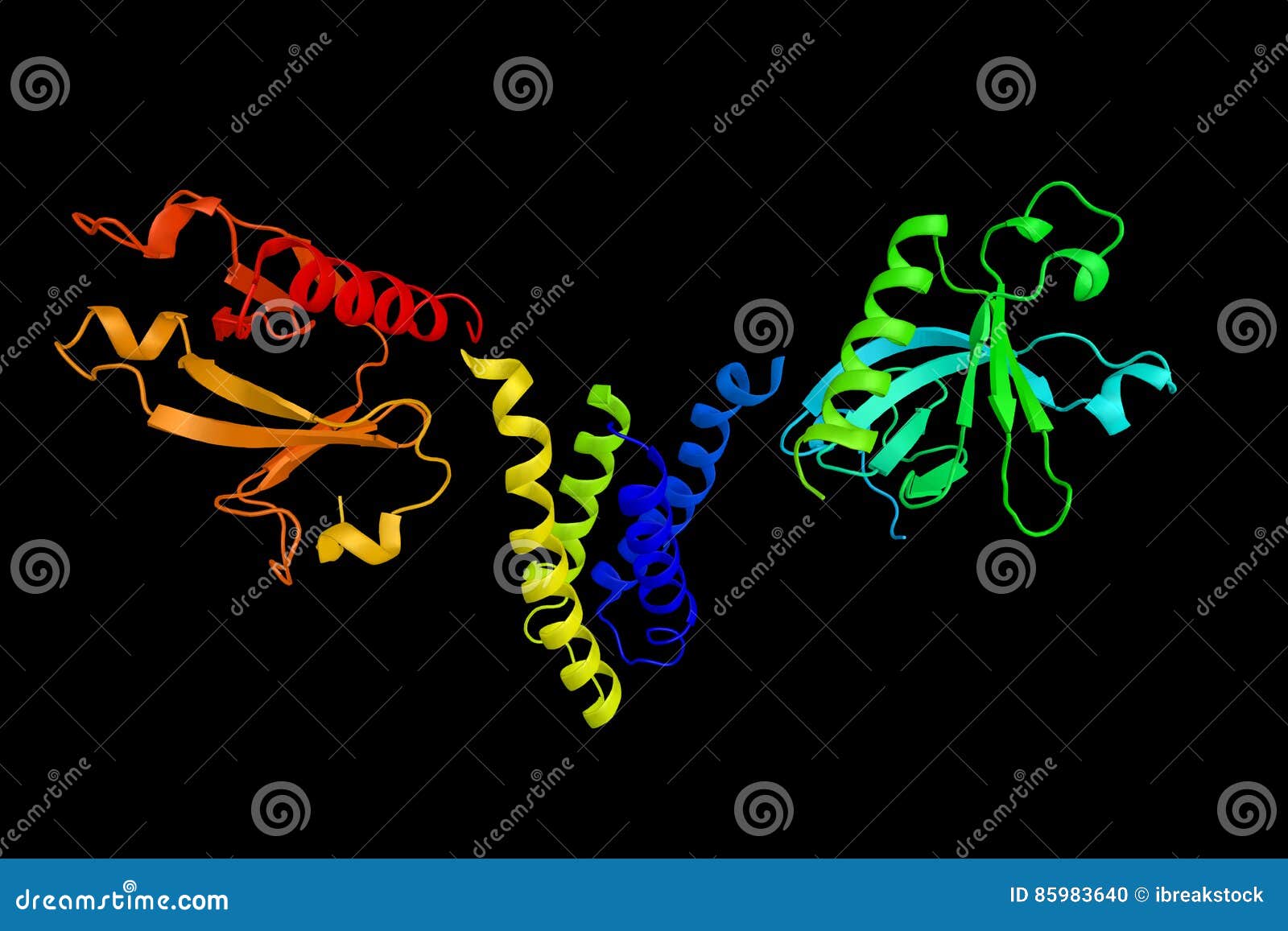 Srcassociated Adaptor Protein, a Signal Transducing Adaptor Pro Stock