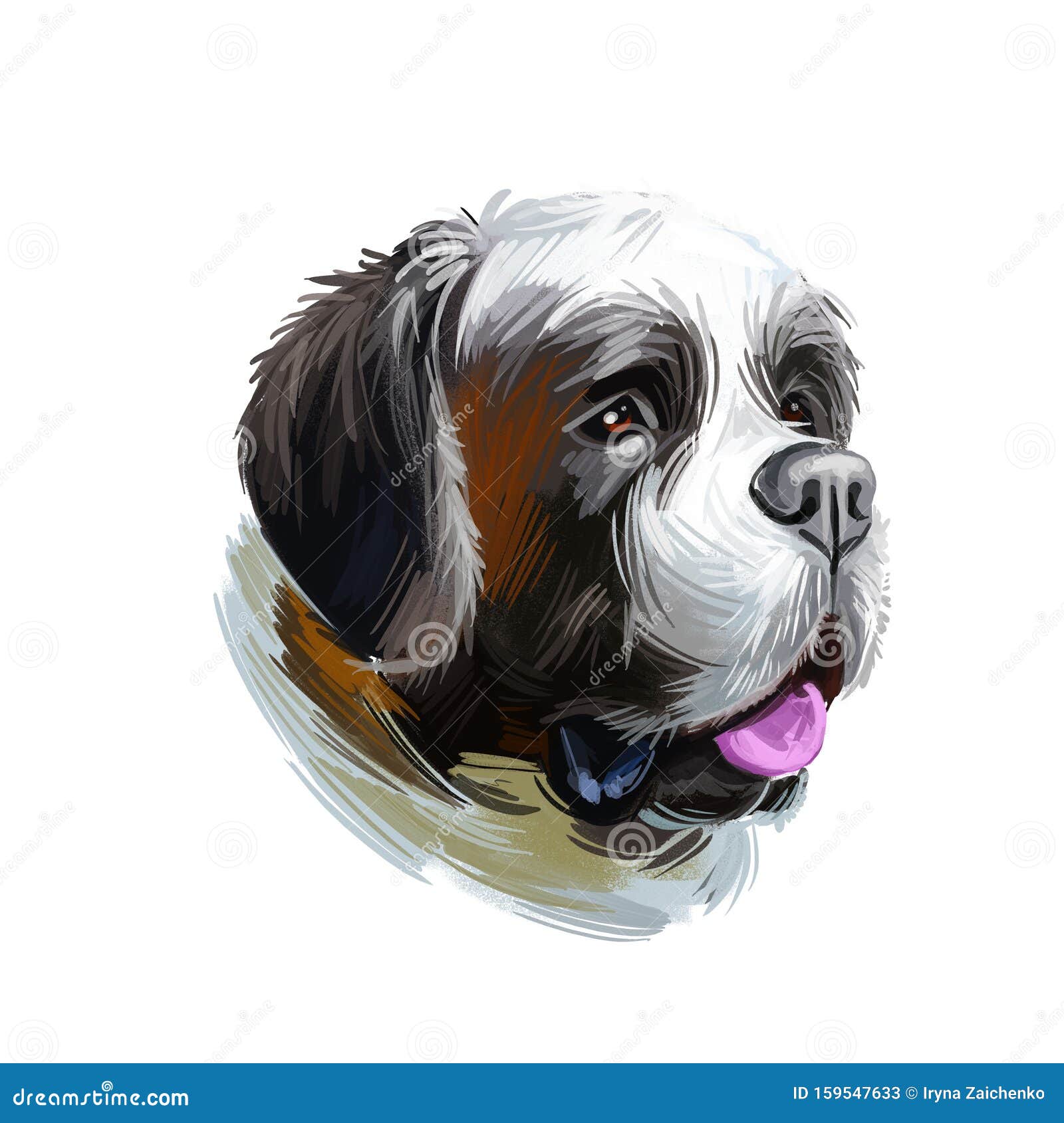 St Bernard Breed Of Large Working Dog From Western Alps Isolated On White Digital Art Animal Watercolor Portrait Closeup Stock Illustration Illustration Of Black Pedigreed 159547633