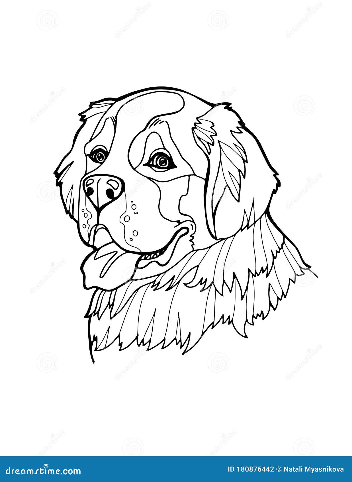Download St. Bernard Portrait. Coloring Page For Adults And Children. Vector Illustration Isolated On ...