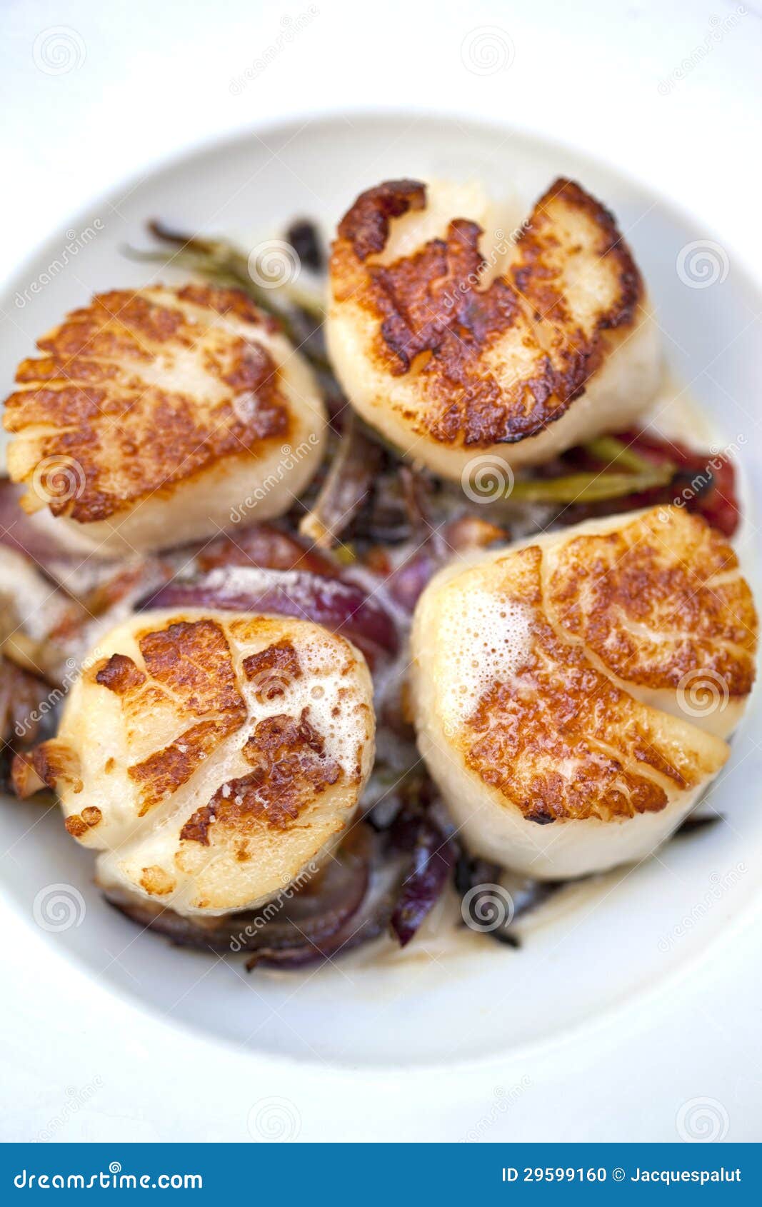 St. Jacques scallops stock photo. Image of vegetable 29599160