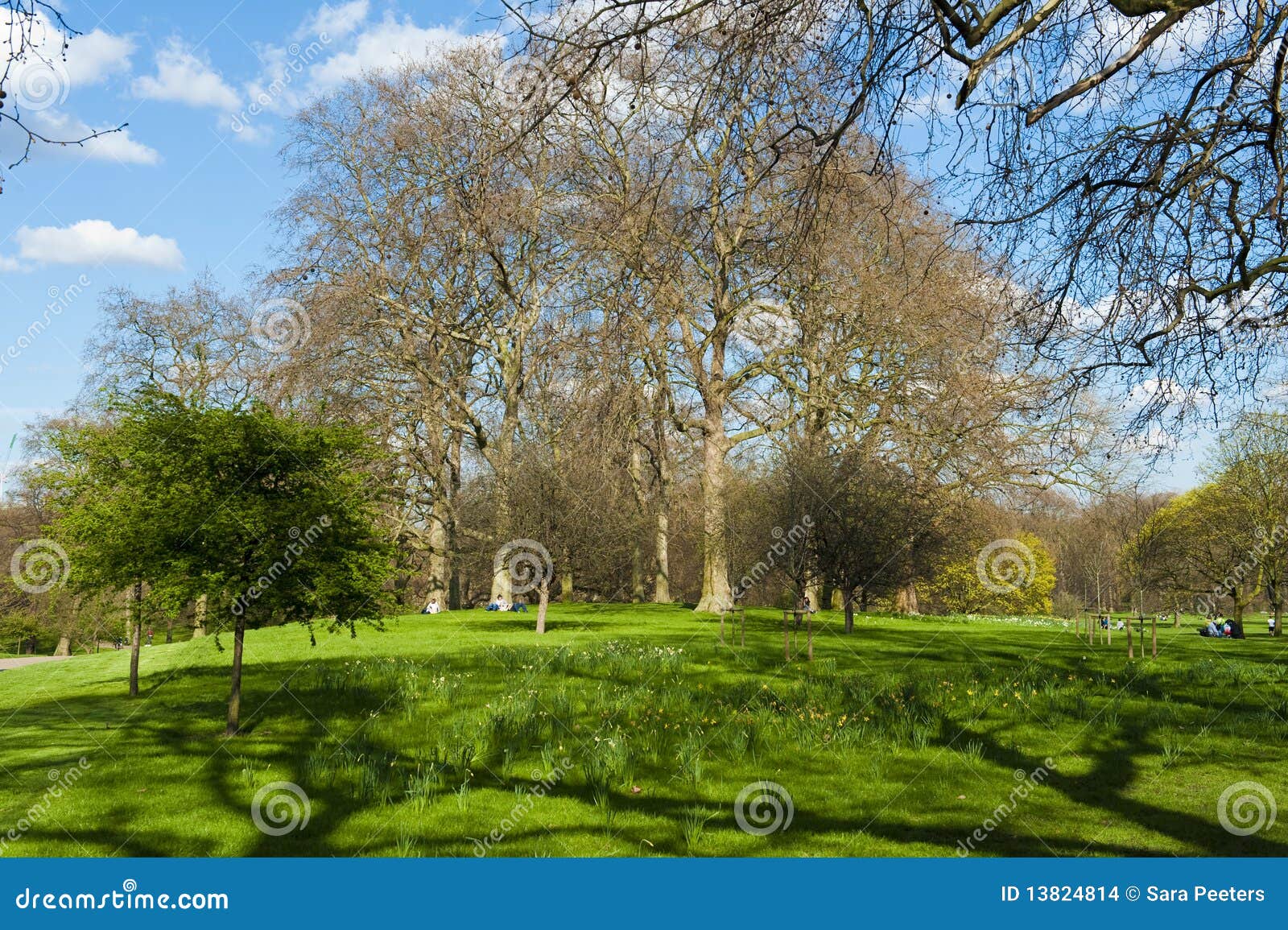 St. James park stock photo. Image of leaf, united, gold - 13824814